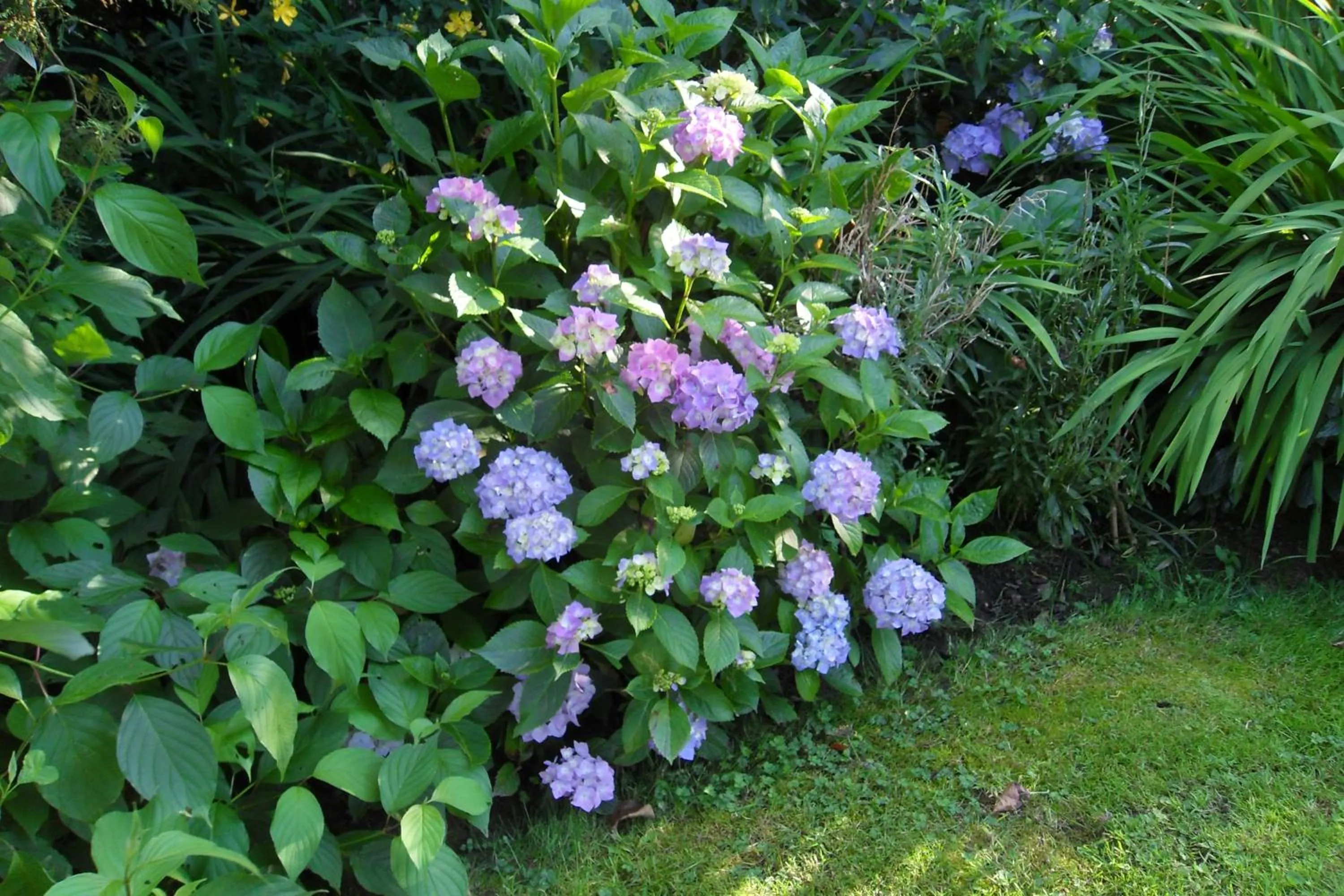 Gîtes Manoir du Buquet