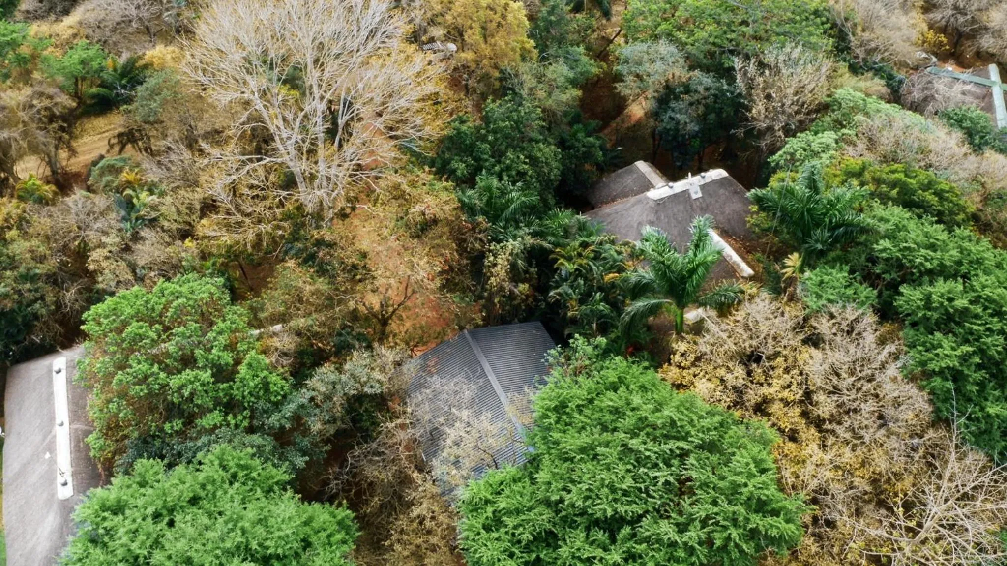 Property building in Kruger Eden Lodge