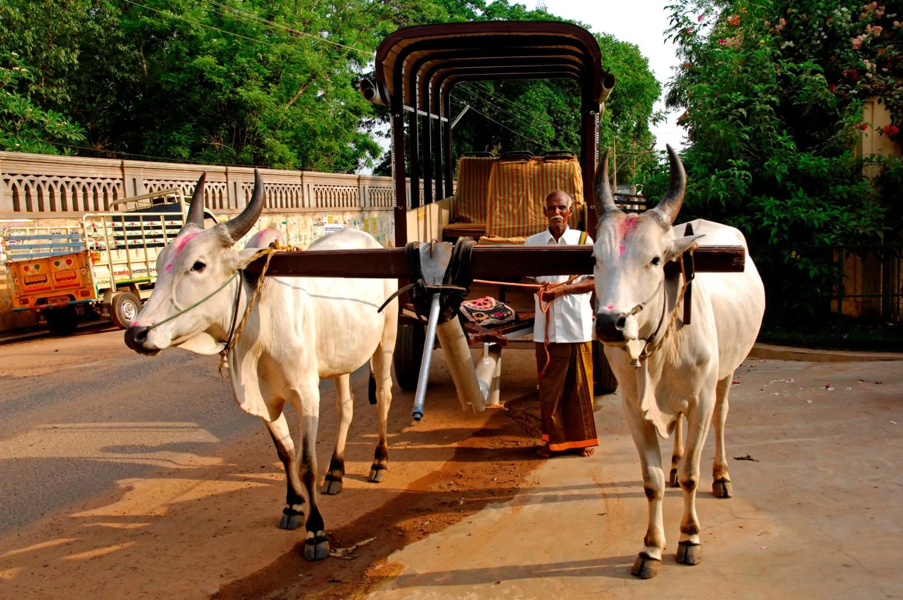 Activities in Visalam Chettinad Palace - A CGH Earth Experience
