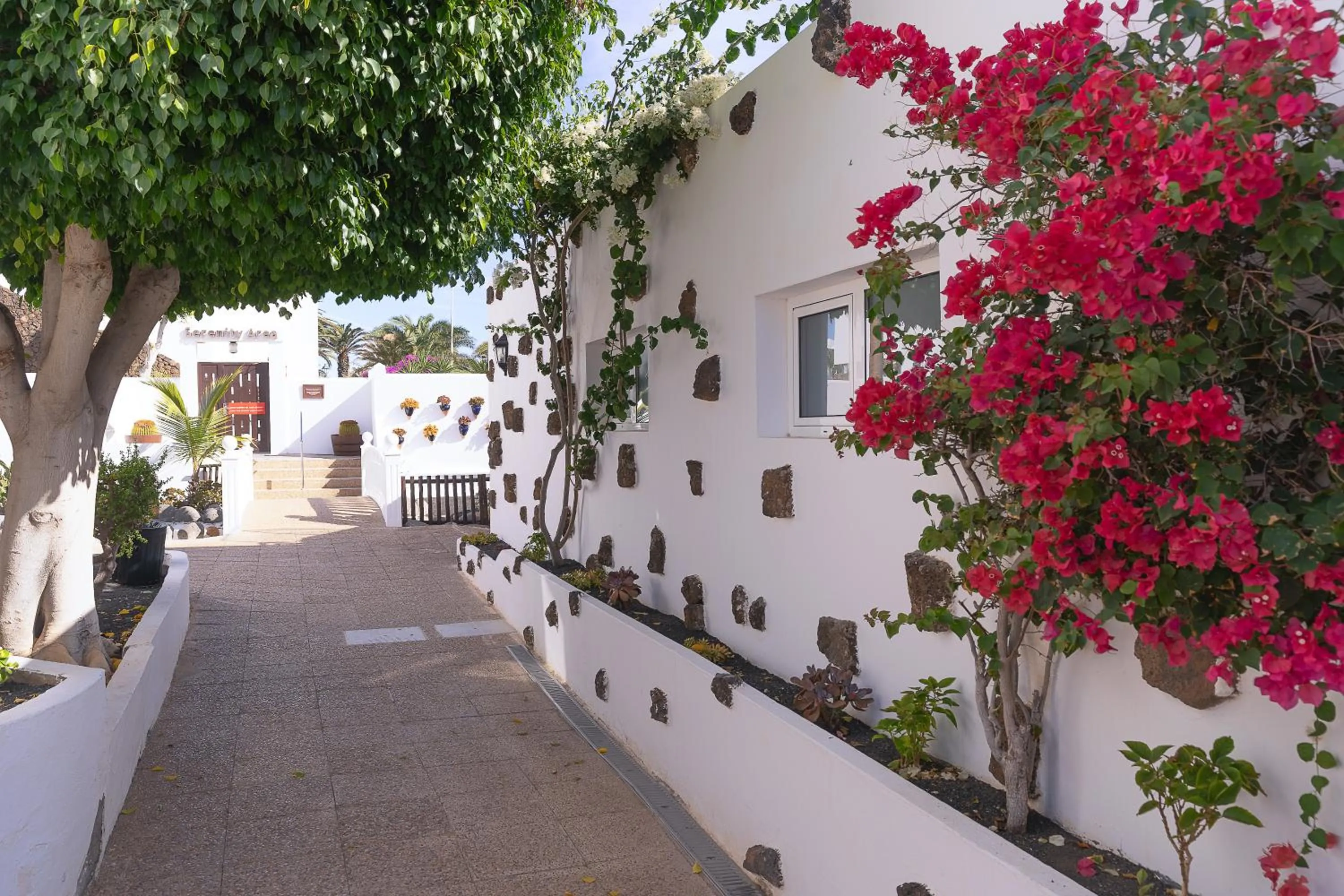 Area and facilities in Hotel Siroco - Adults Only 18