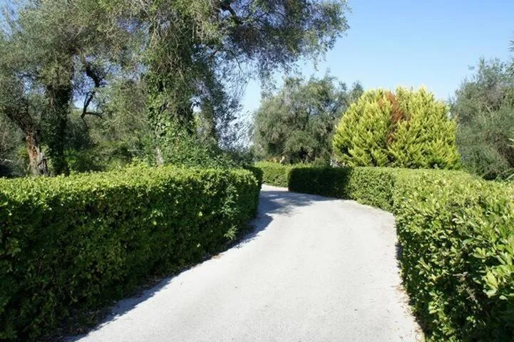 Garden in Villa Rosa Apartments