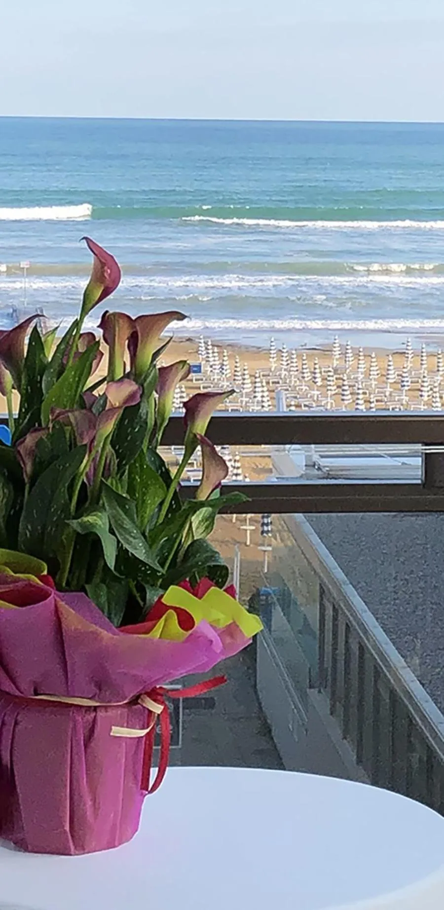 Balcony/Terrace in Hotel Ondina