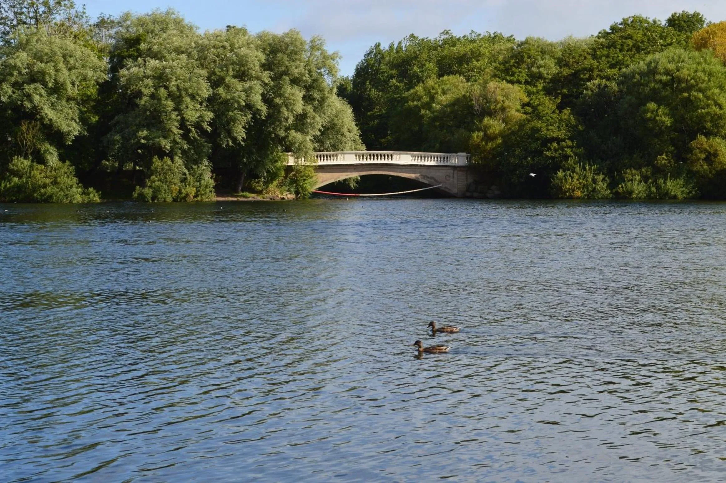 Natural landscape in The Aspire