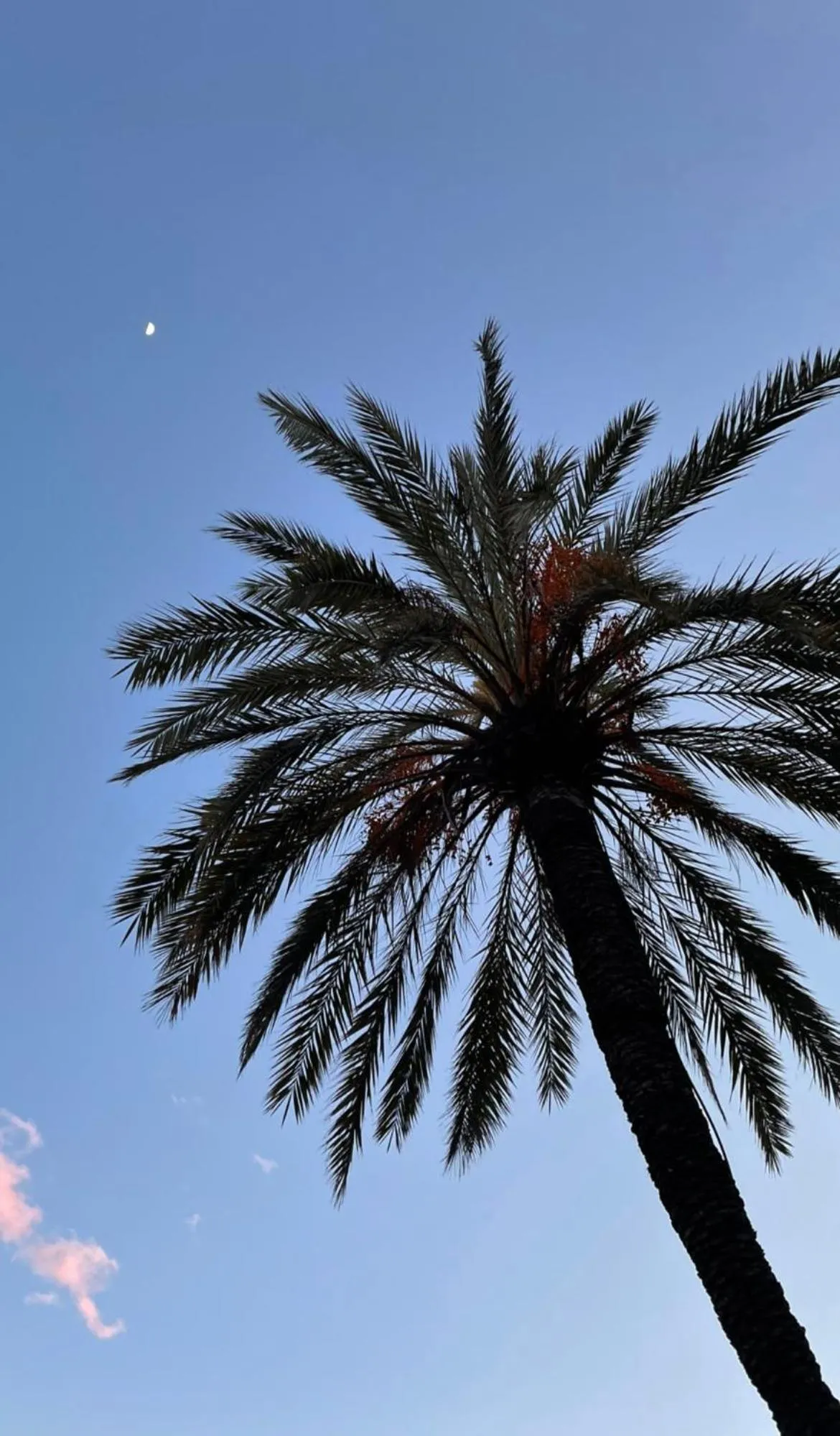 Property building in Acqua di Mare