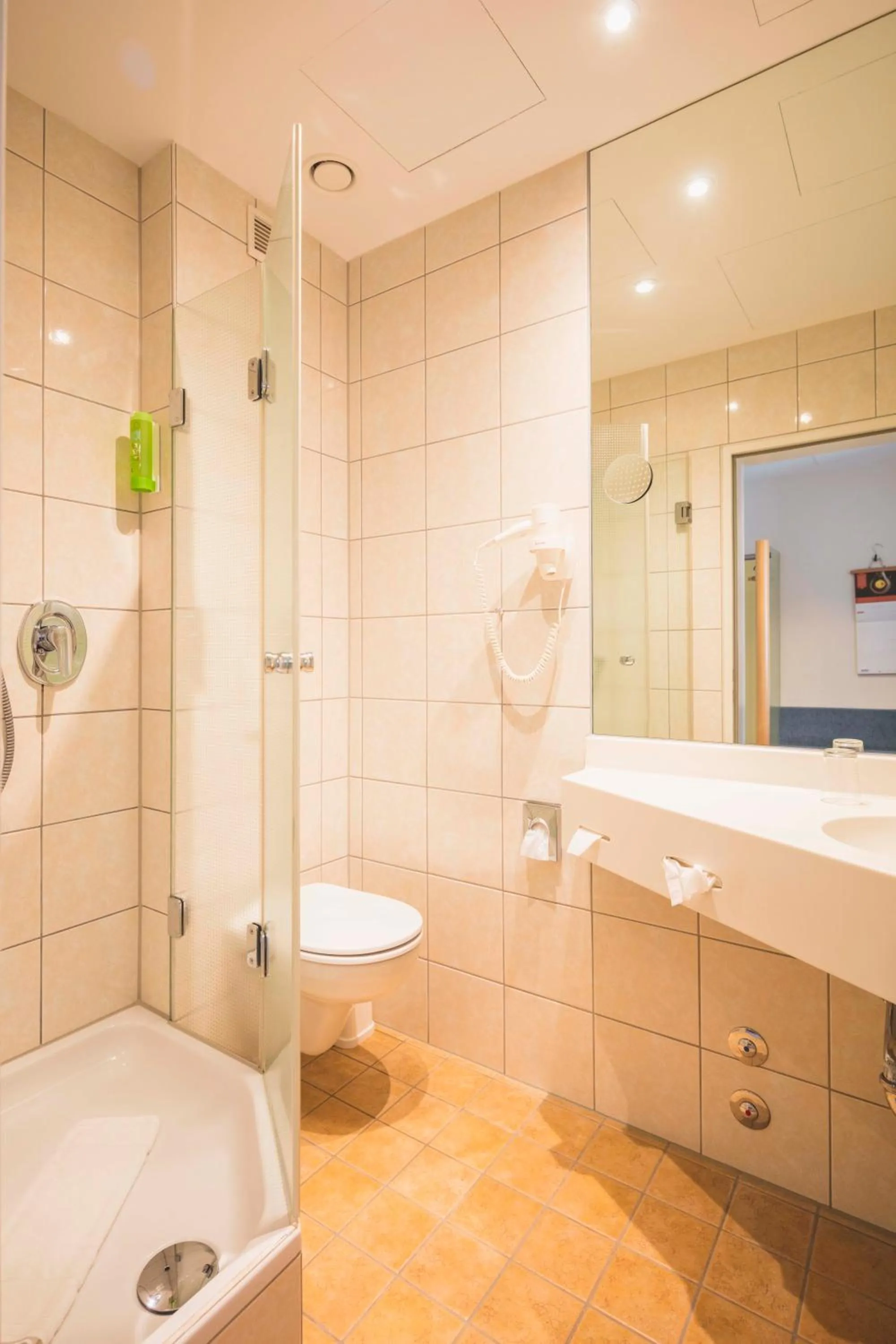 Toilet in Hotel Luise