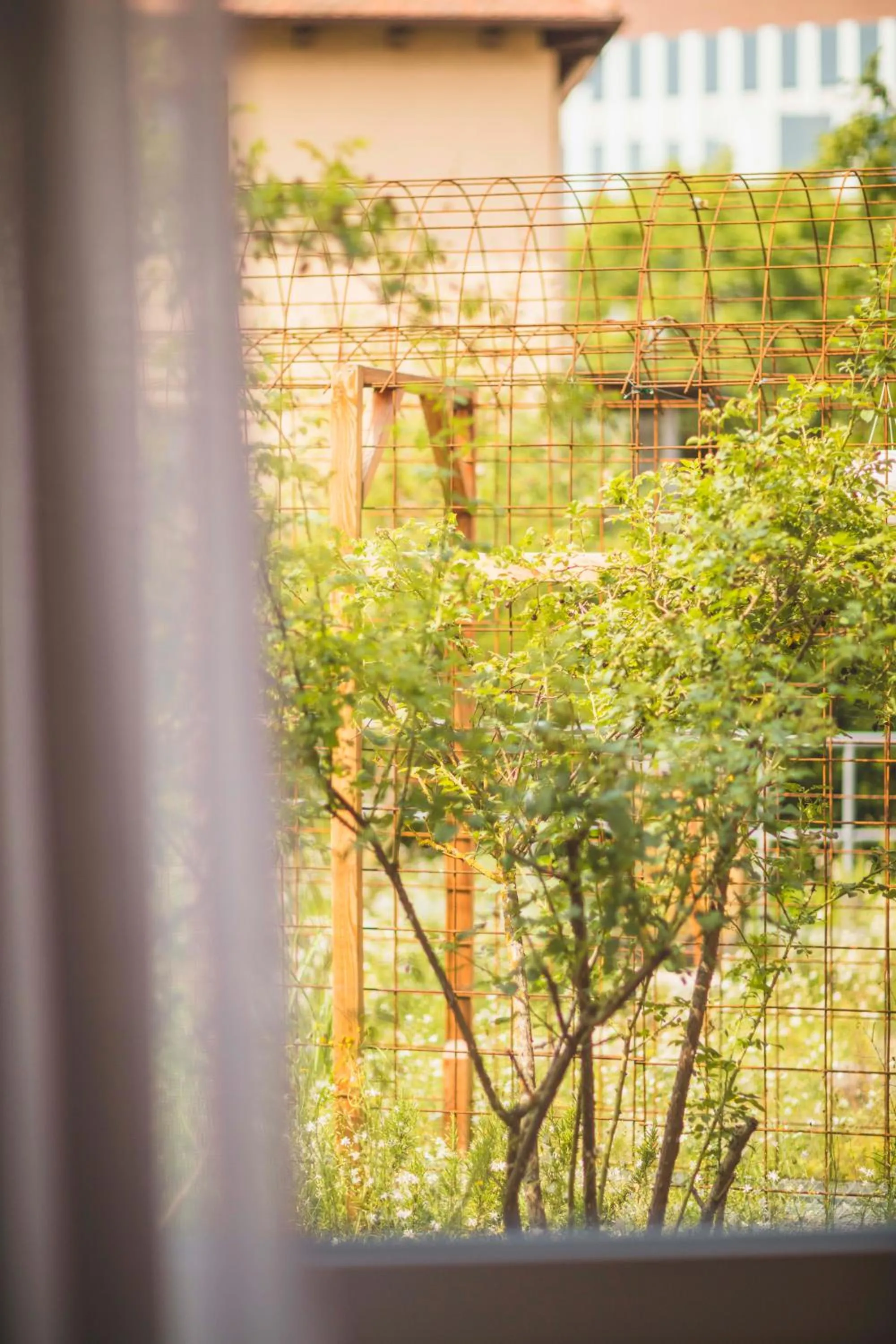 Garden view in Hotel Luise