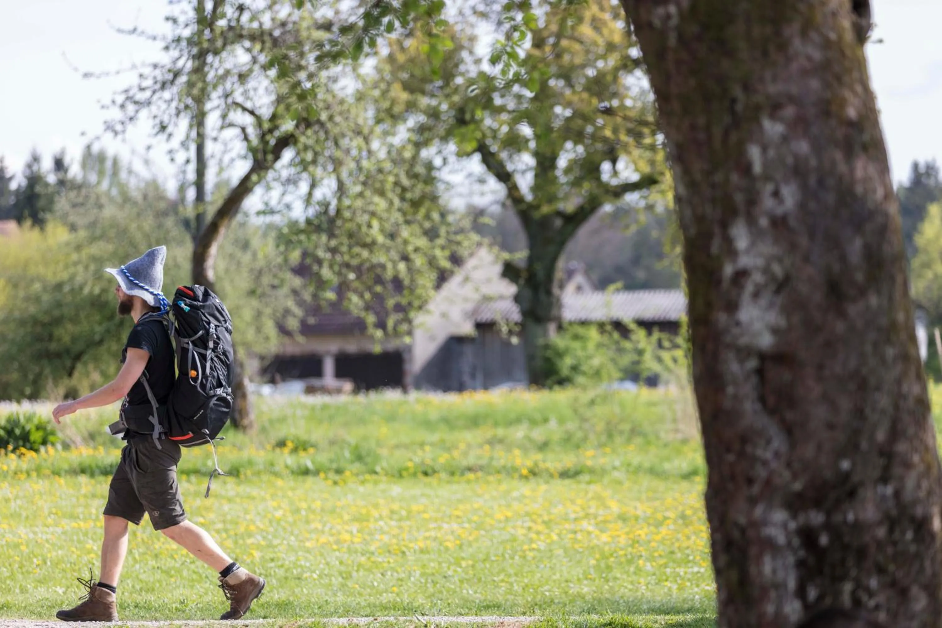 Hiking in Hotel Luise