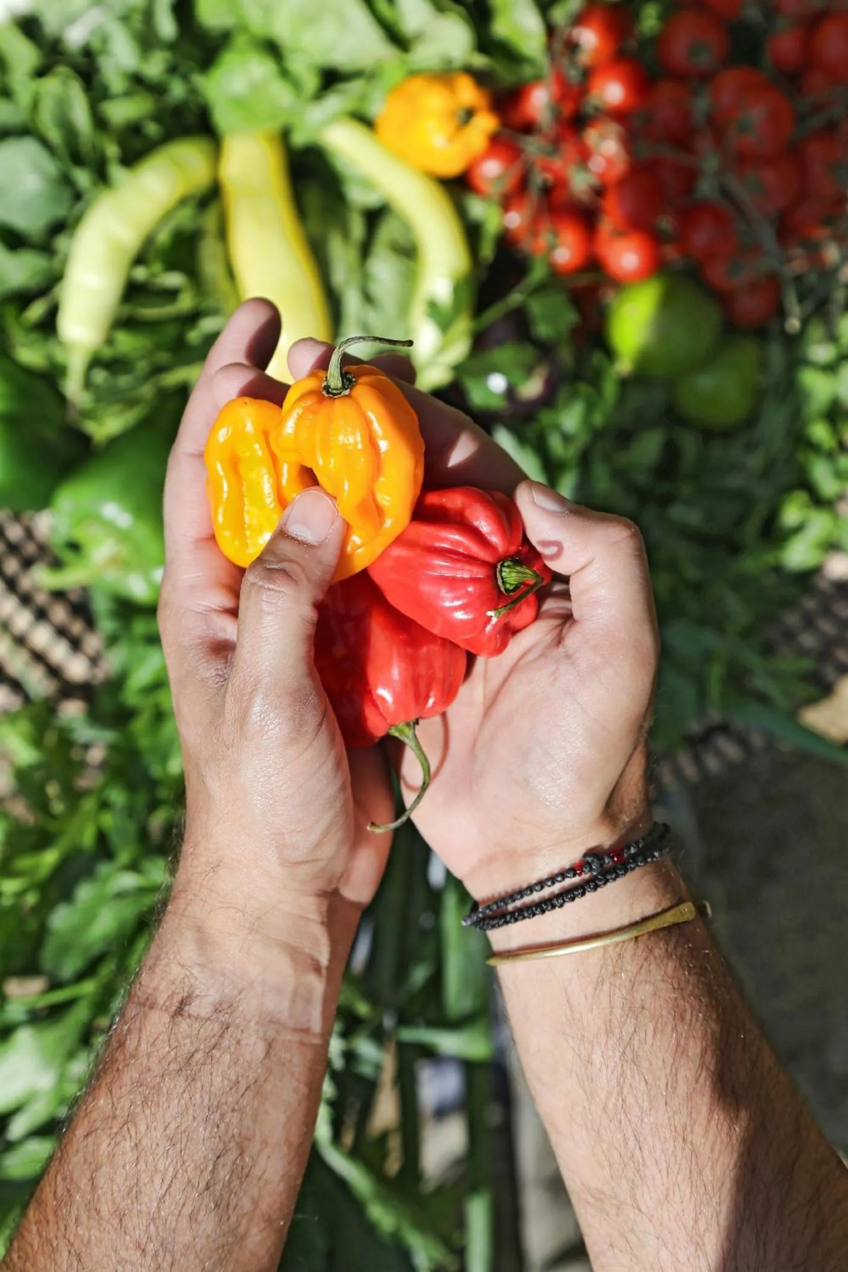 Food close-up in Livin Mykonos Hotel - Adults Only