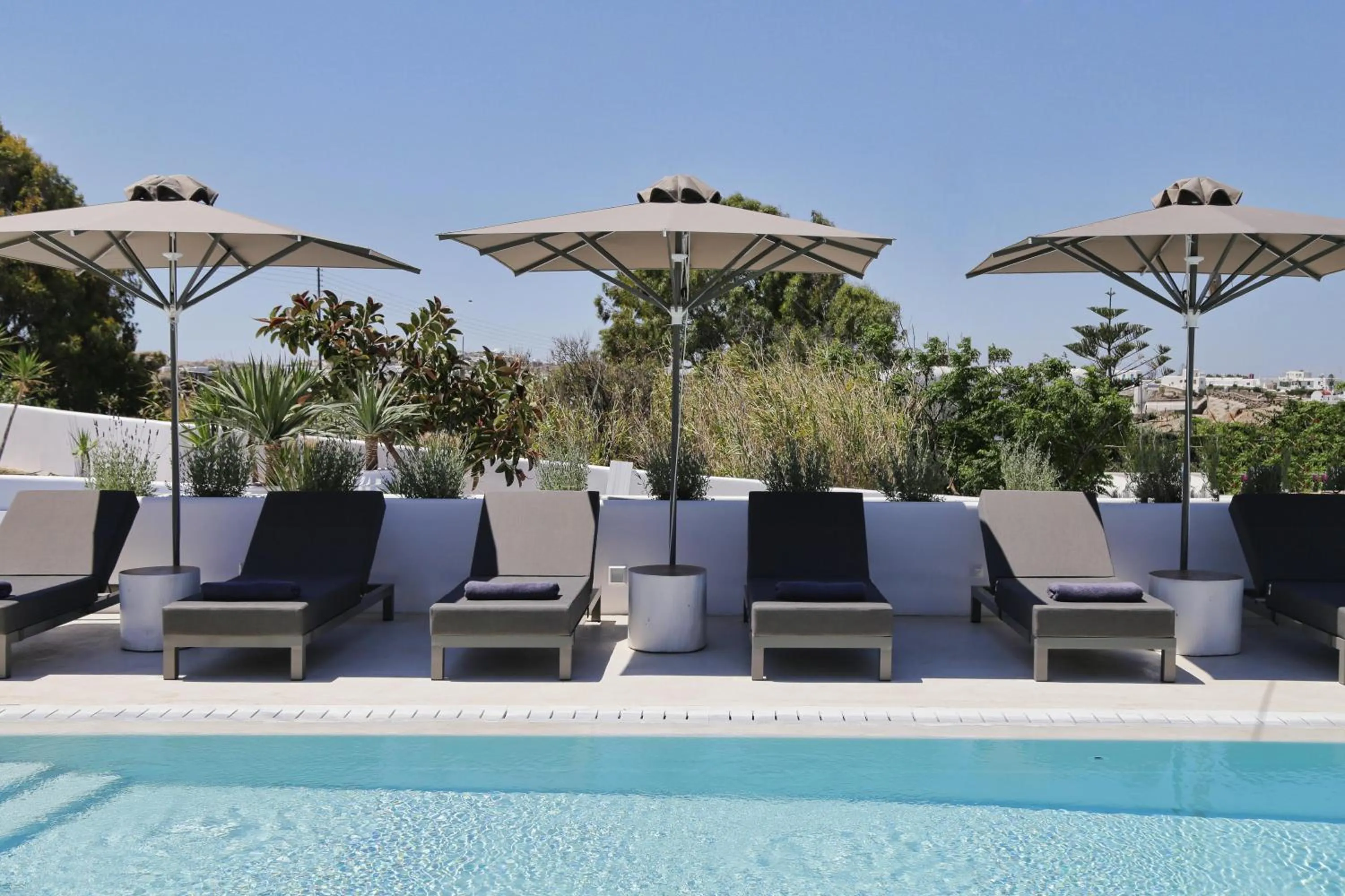 Swimming pool in Livin Mykonos Hotel - Adults Only