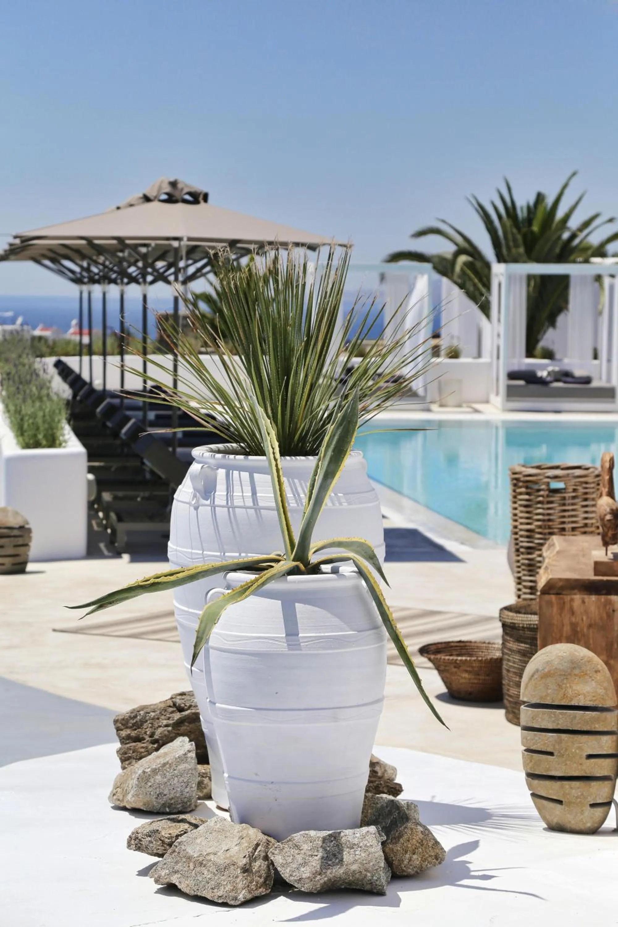 Garden in Livin Mykonos Hotel - Adults Only