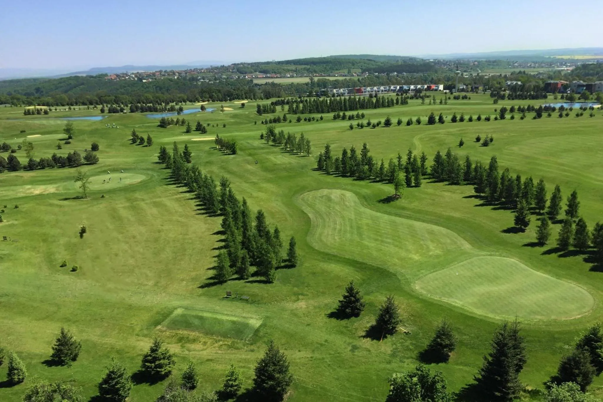 Bird's eye view in Sand Martin