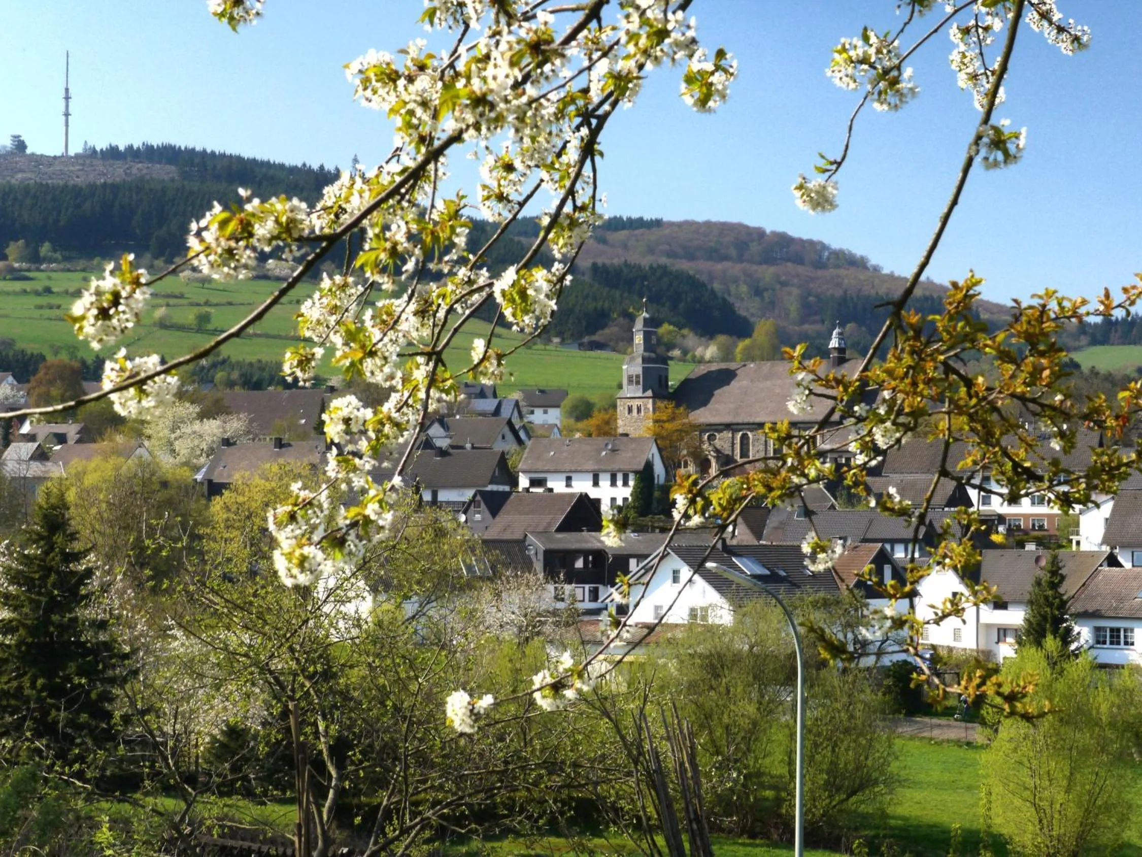 Mountain view in Hotel Hesborner Kuckuck