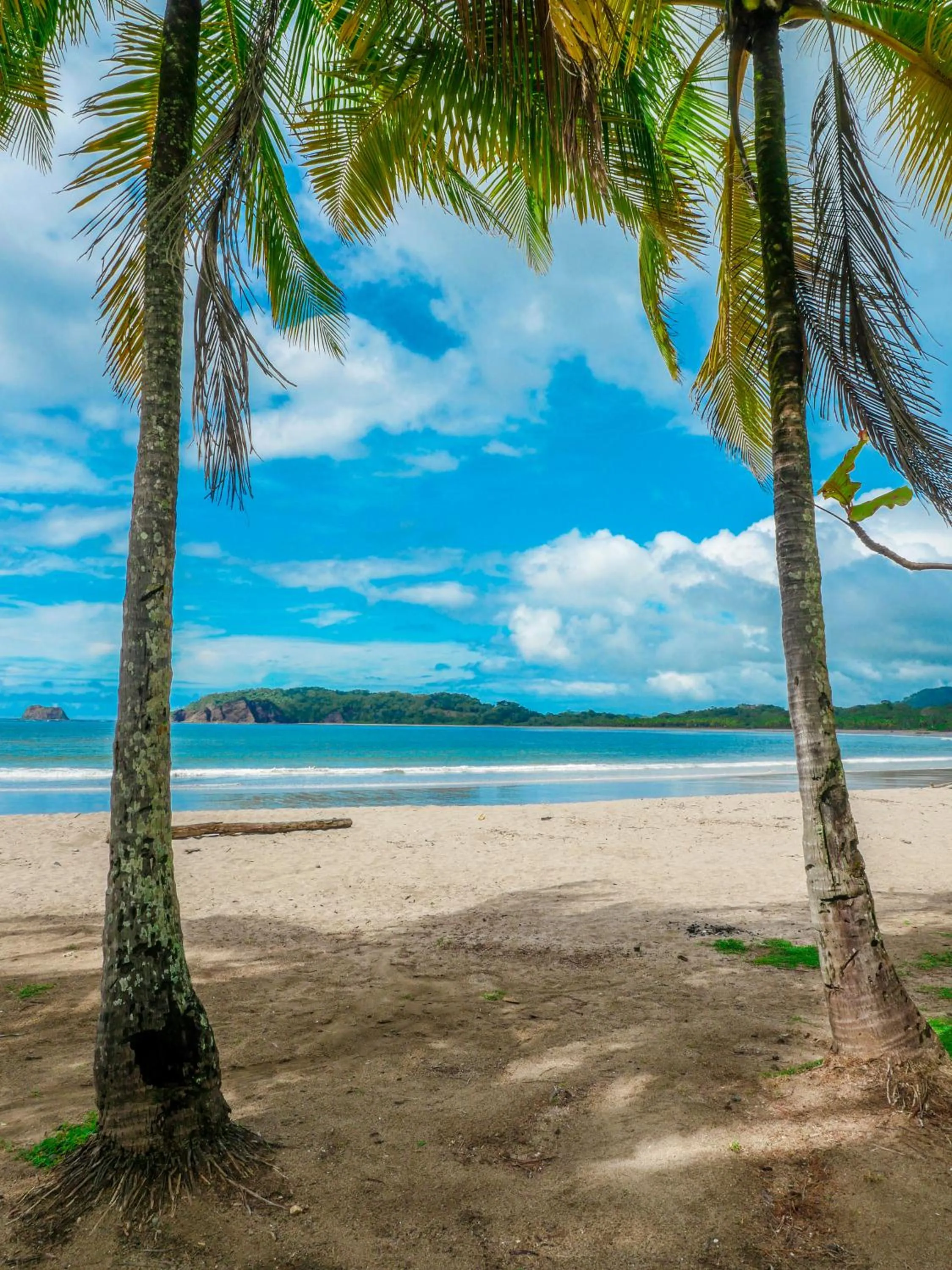 Natural landscape in Hotel Amira