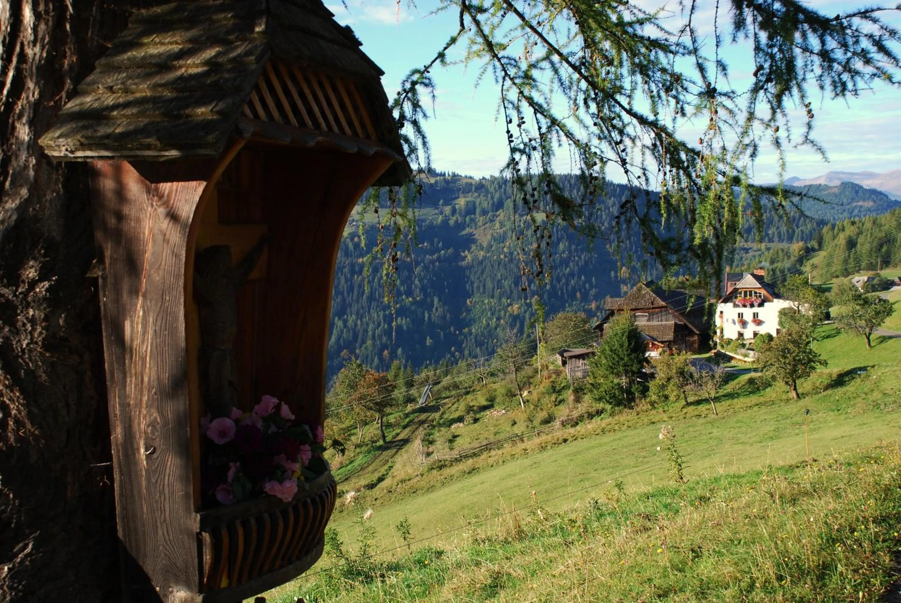 Hiking in Alpengasthof Moser