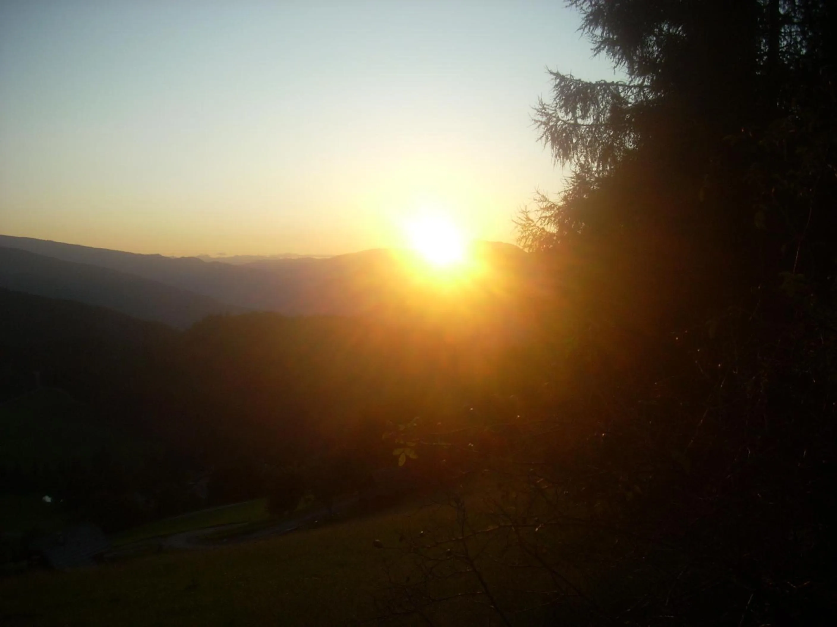 Hiking in Alpengasthof Moser