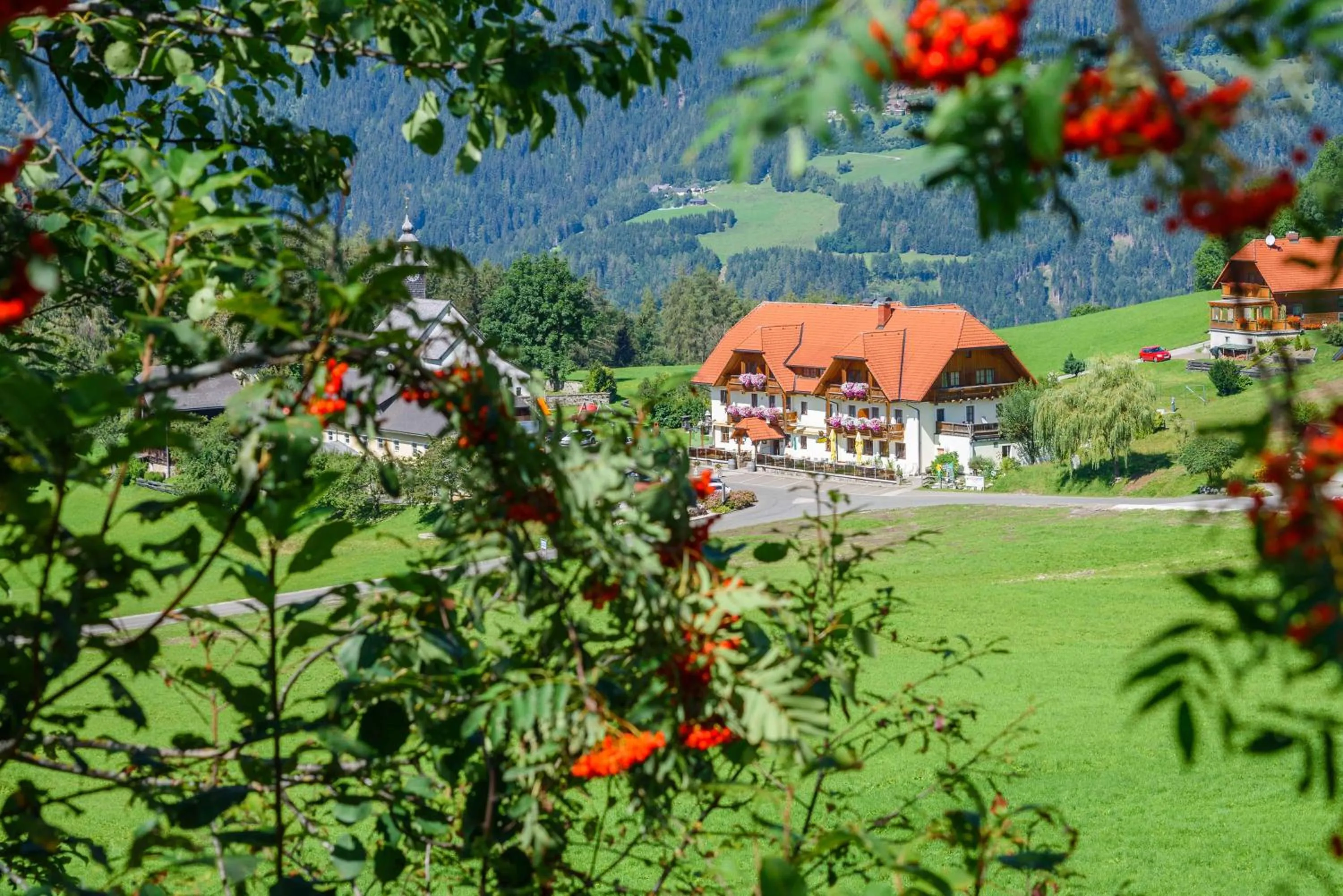 Property building in Alpengasthof Moser