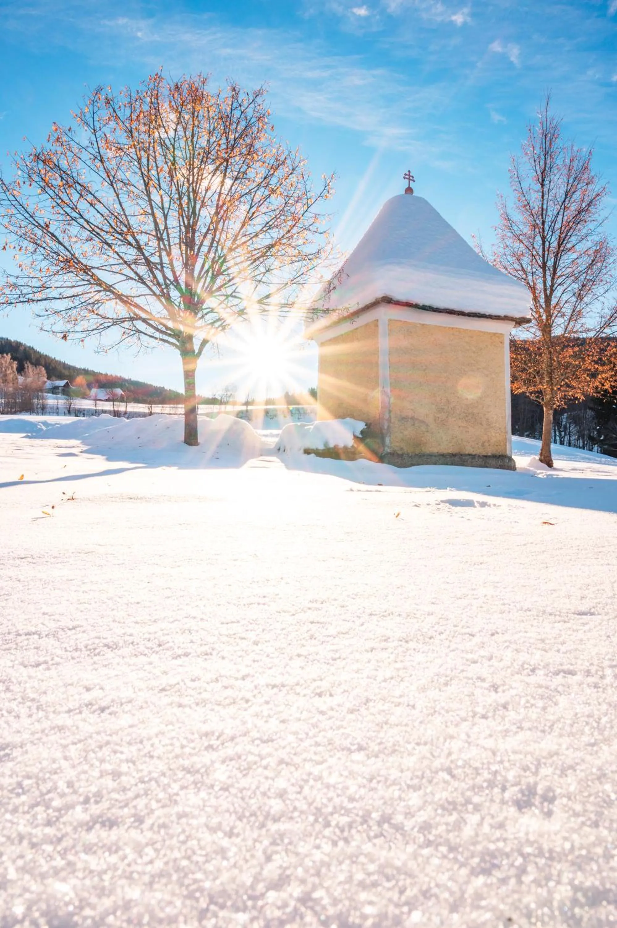 Staff in Alpengasthof Moser