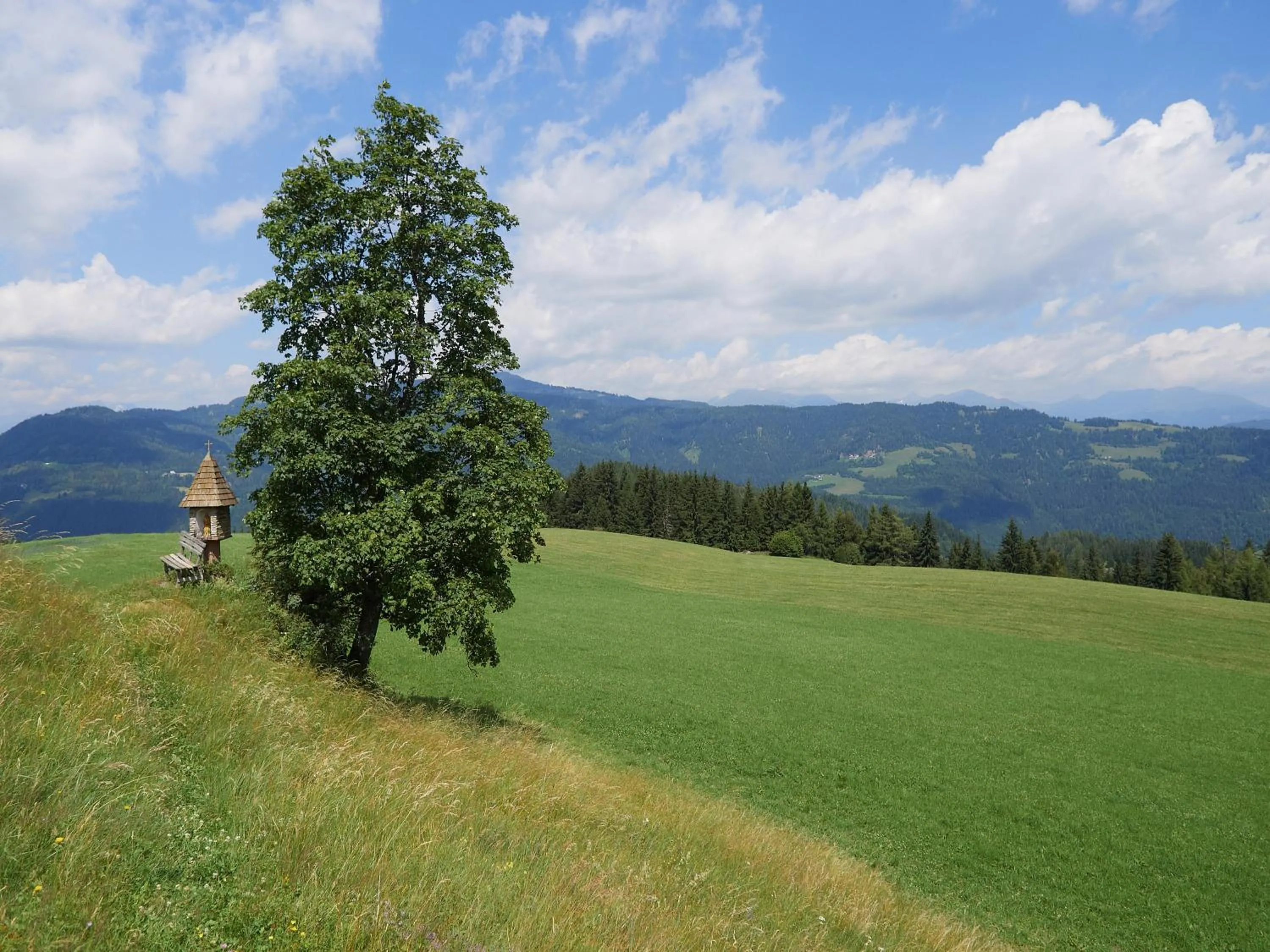 Spring in Alpengasthof Moser