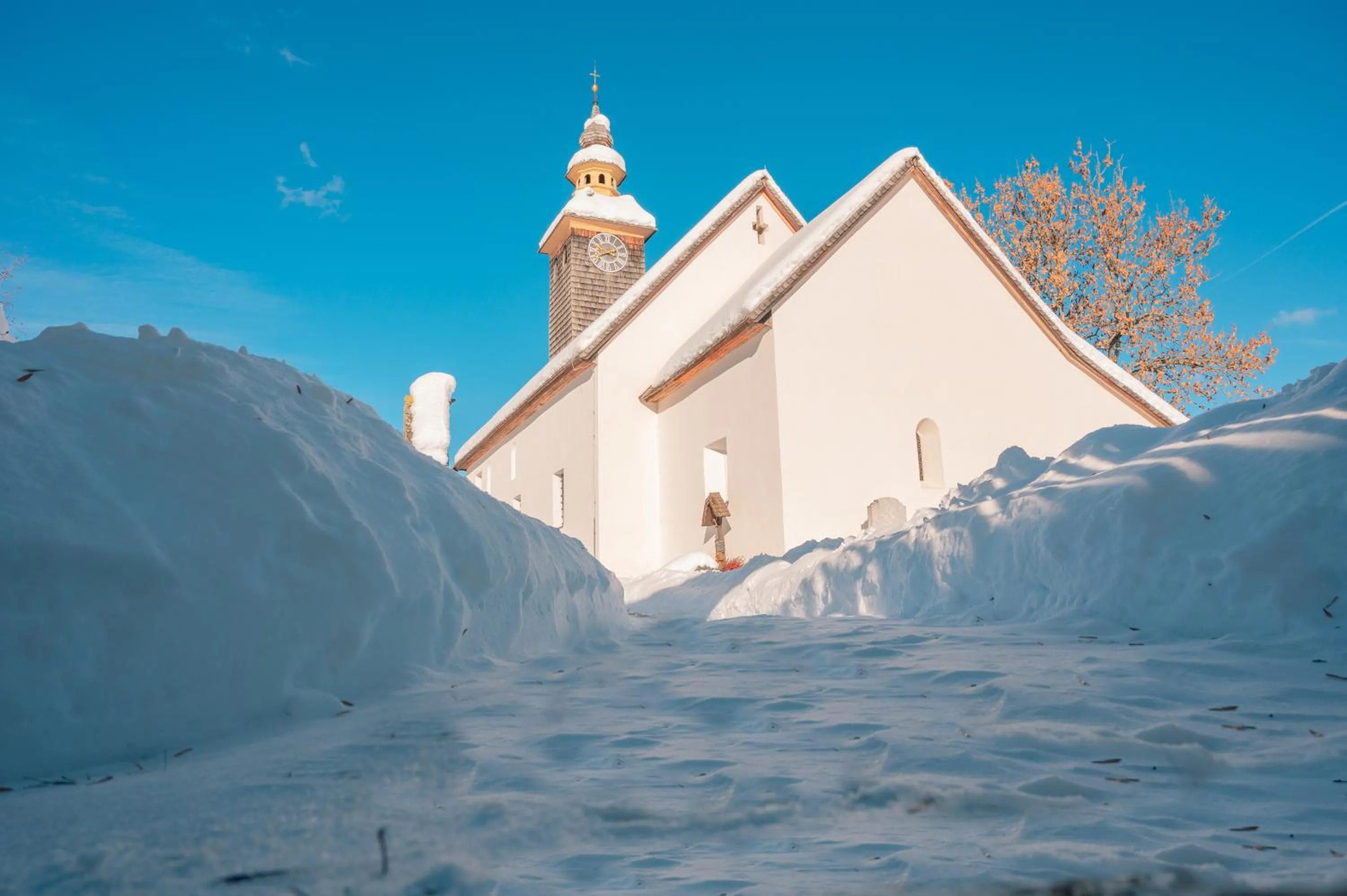 Staff in Alpengasthof Moser