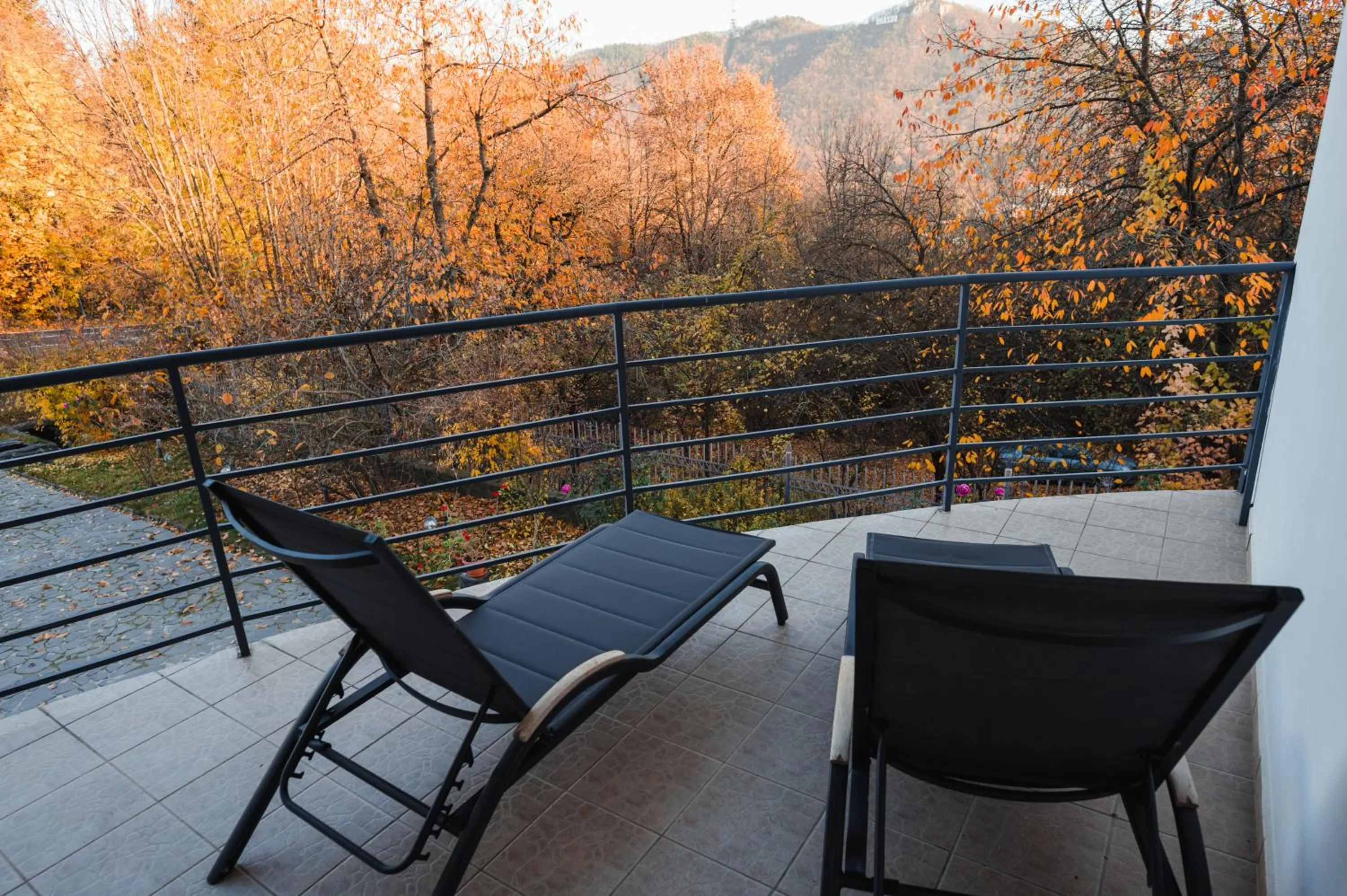 Natural landscape in Pensiunea Warthe Bed & Breakfast