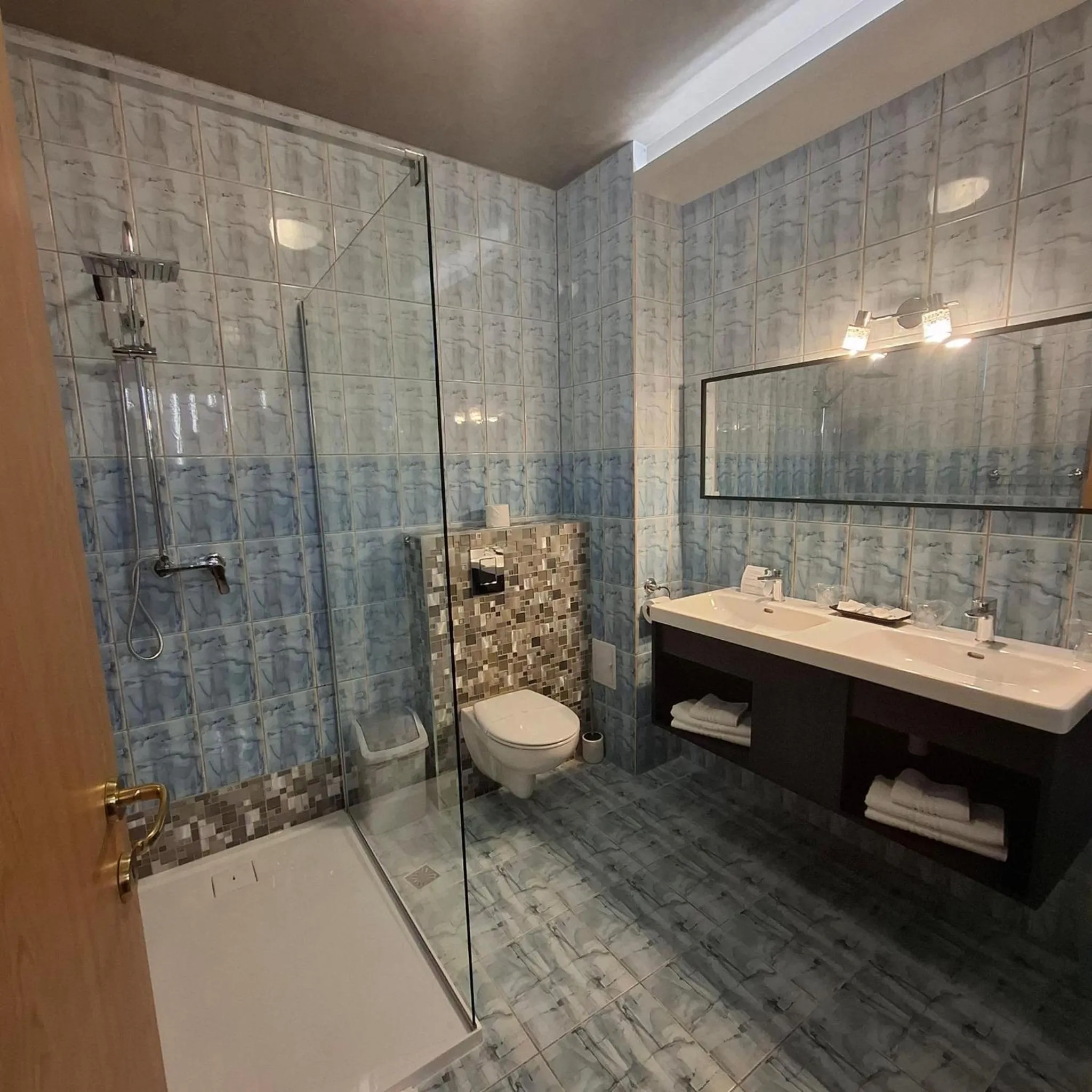 Shower in Pensiunea Warthe Bed & Breakfast