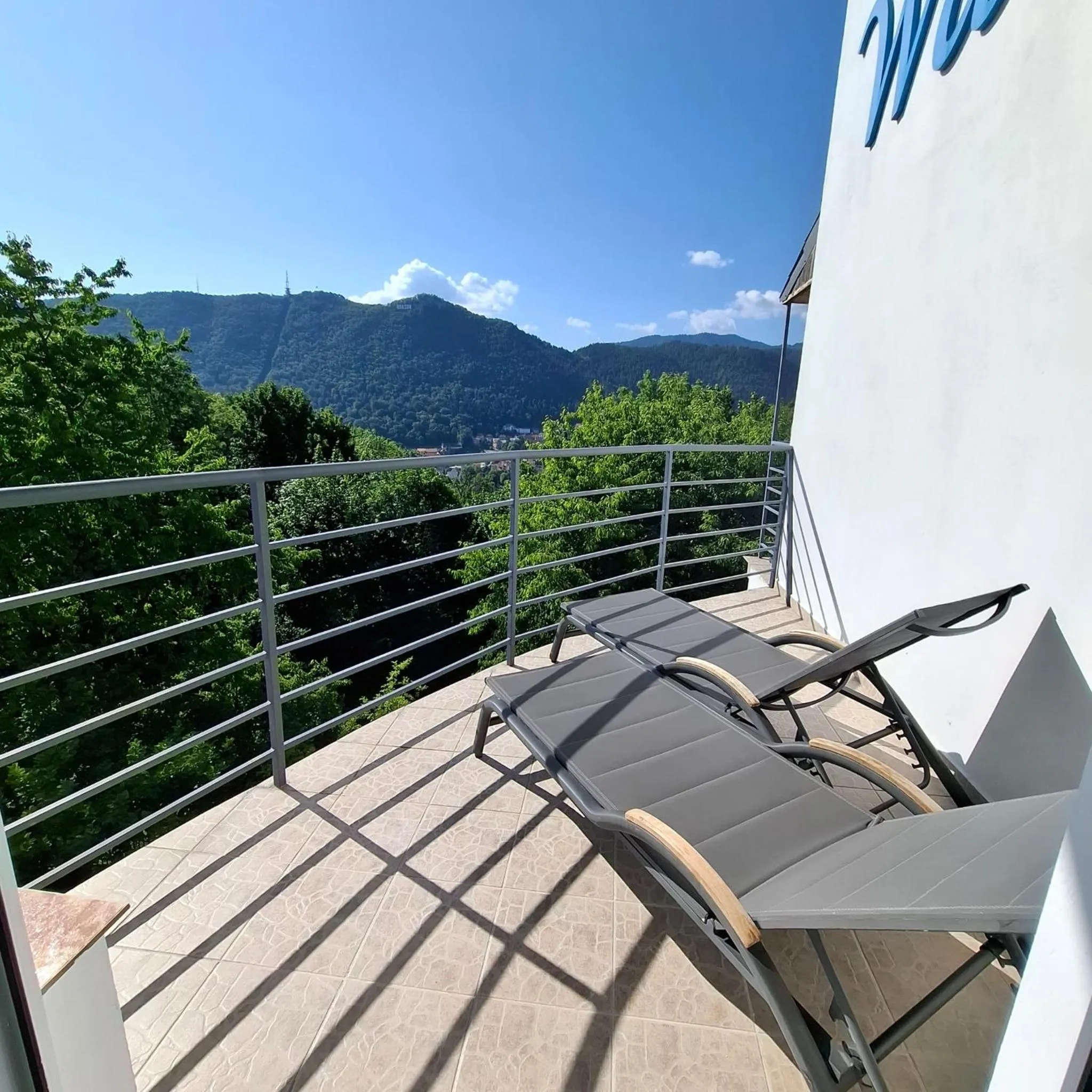Balcony/Terrace in Pensiunea Warthe Bed & Breakfast