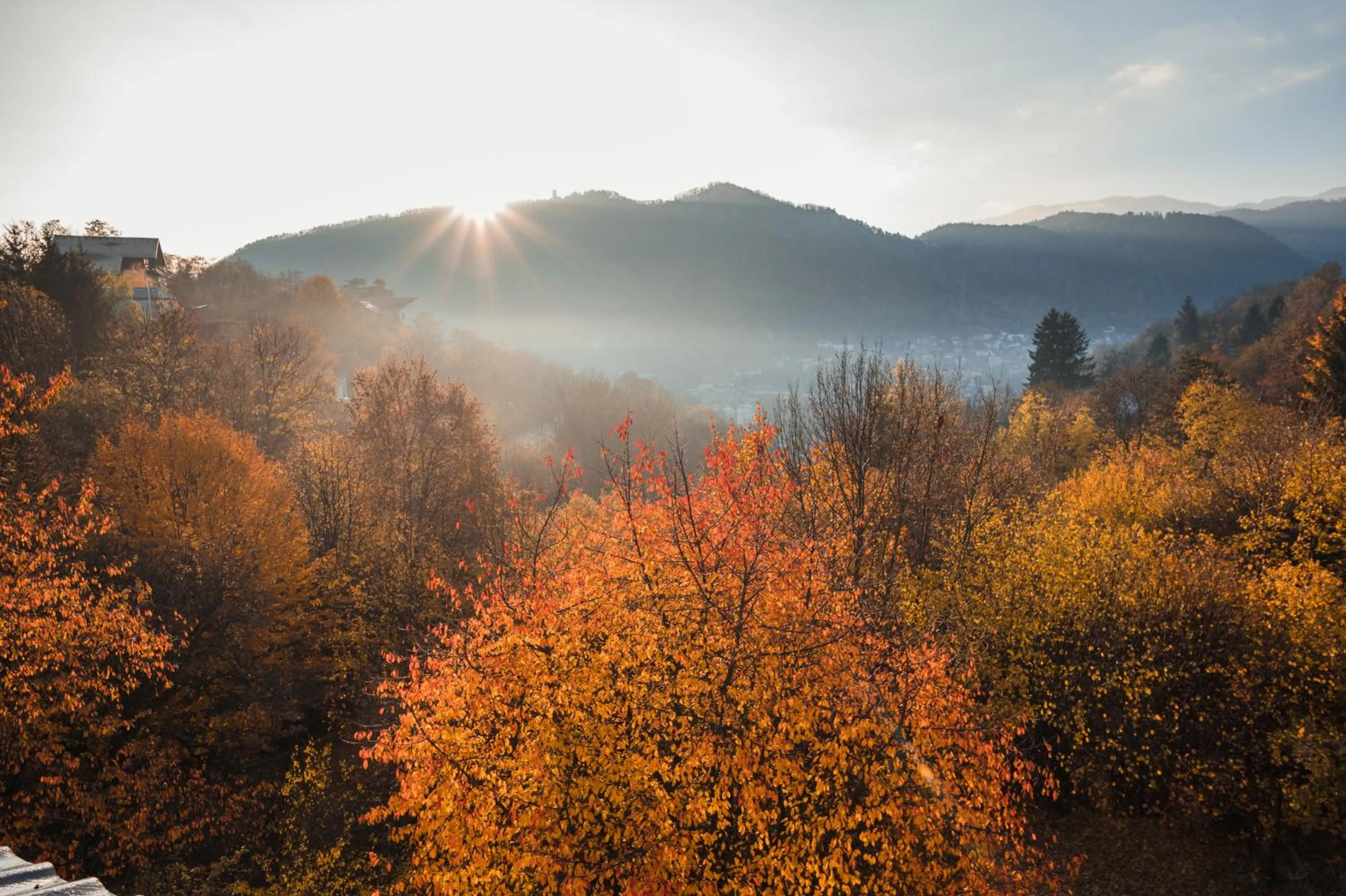 Day in Pensiunea Warthe Bed & Breakfast