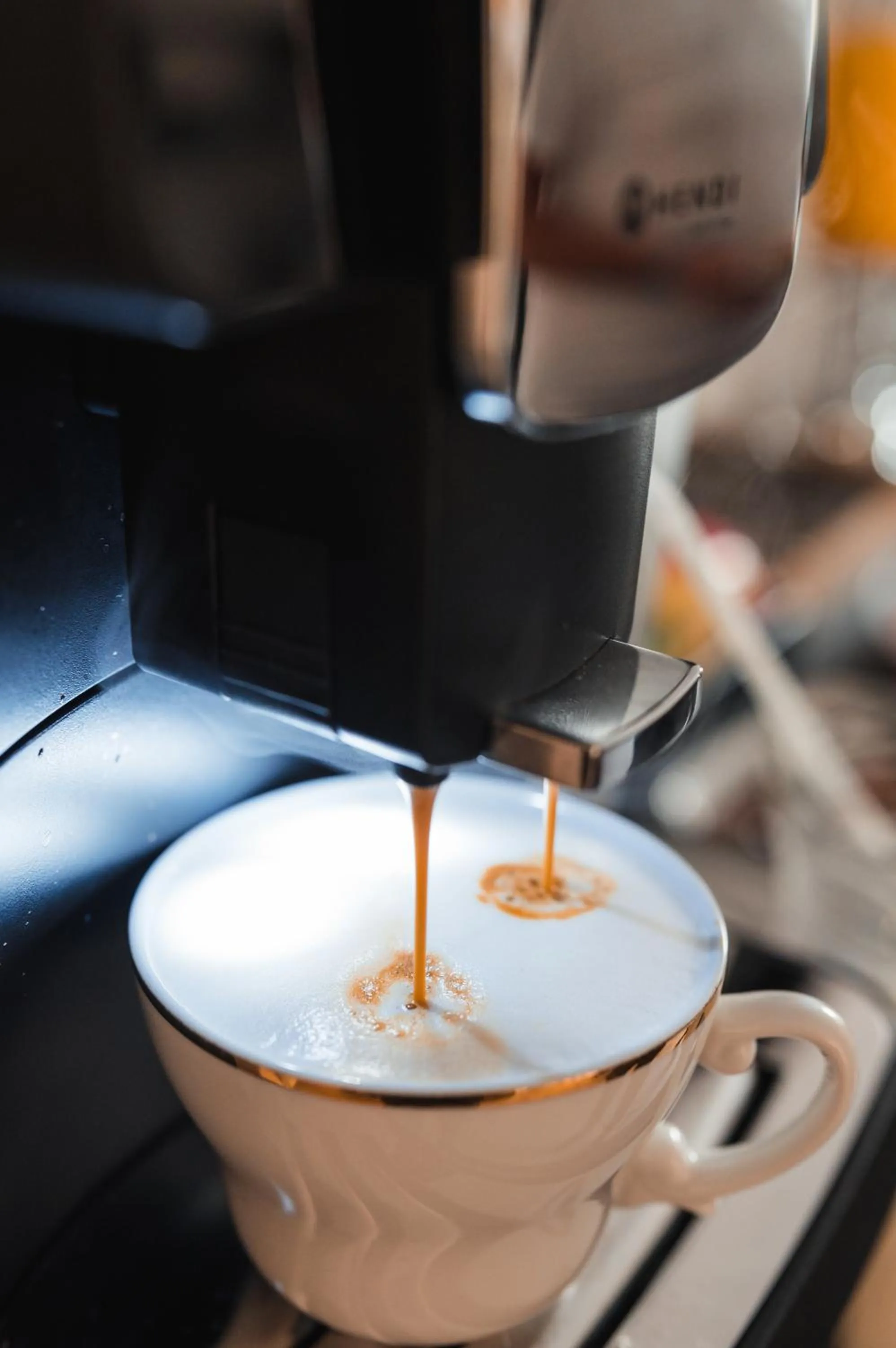 Lounge or bar in Pensiunea Warthe Bed & Breakfast