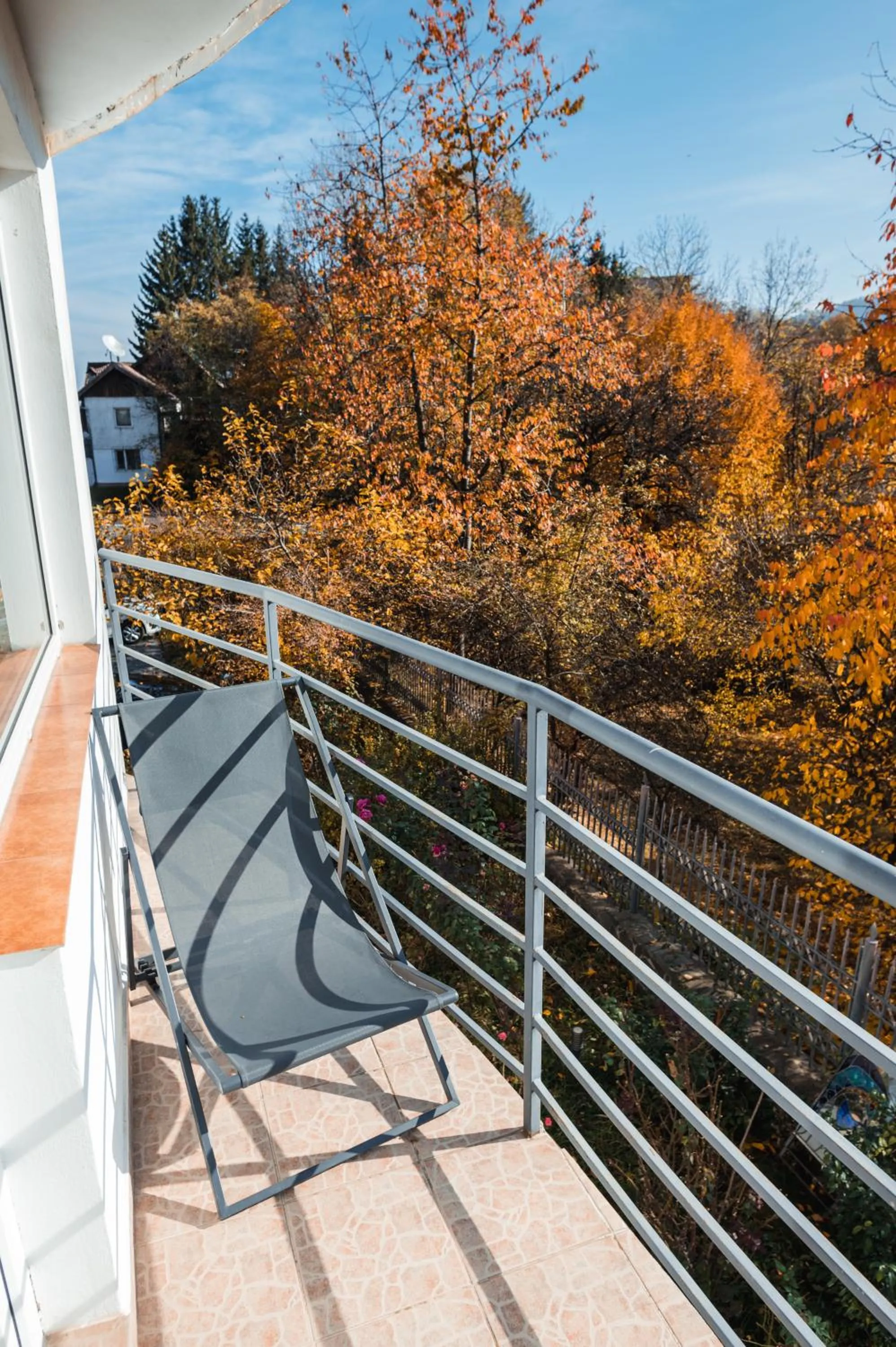 Balcony/Terrace in Pensiunea Warthe Bed & Breakfast