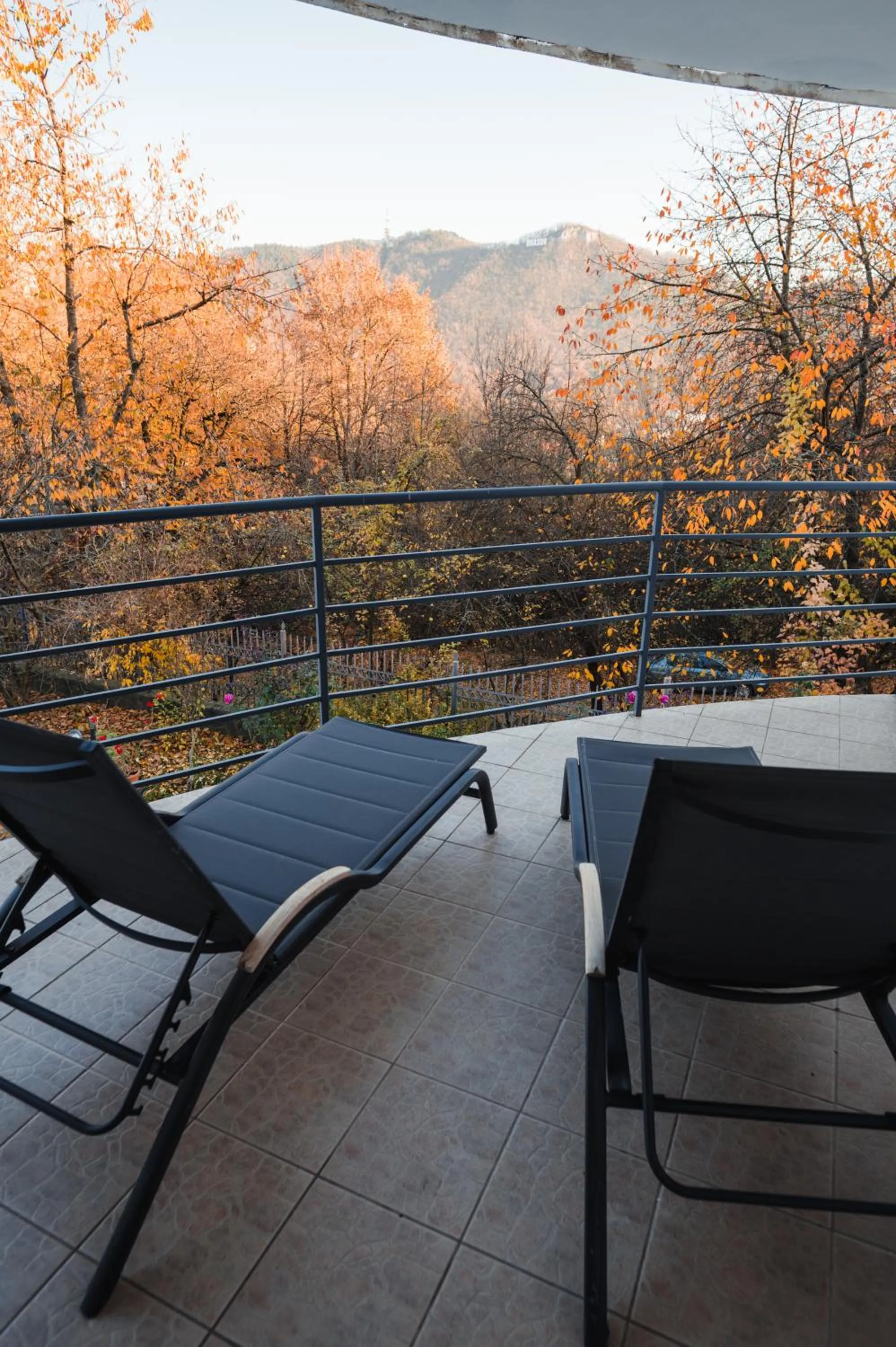 Balcony/Terrace in Pensiunea Warthe Bed & Breakfast