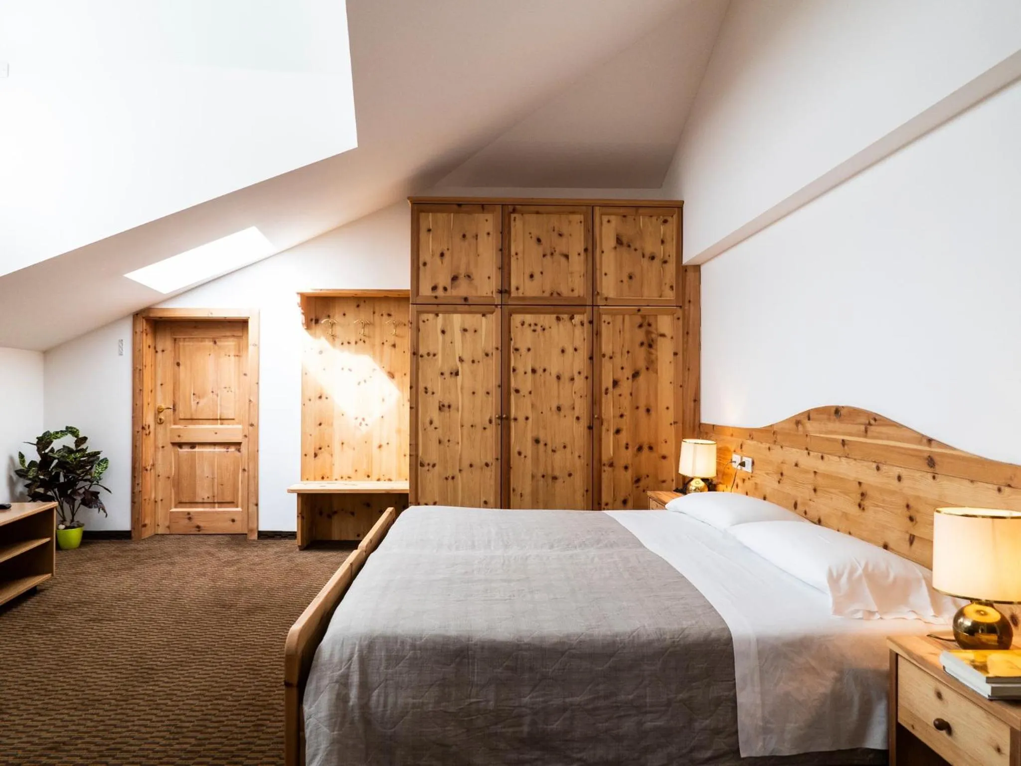 Photo of the whole room in Hotel Villa Regina