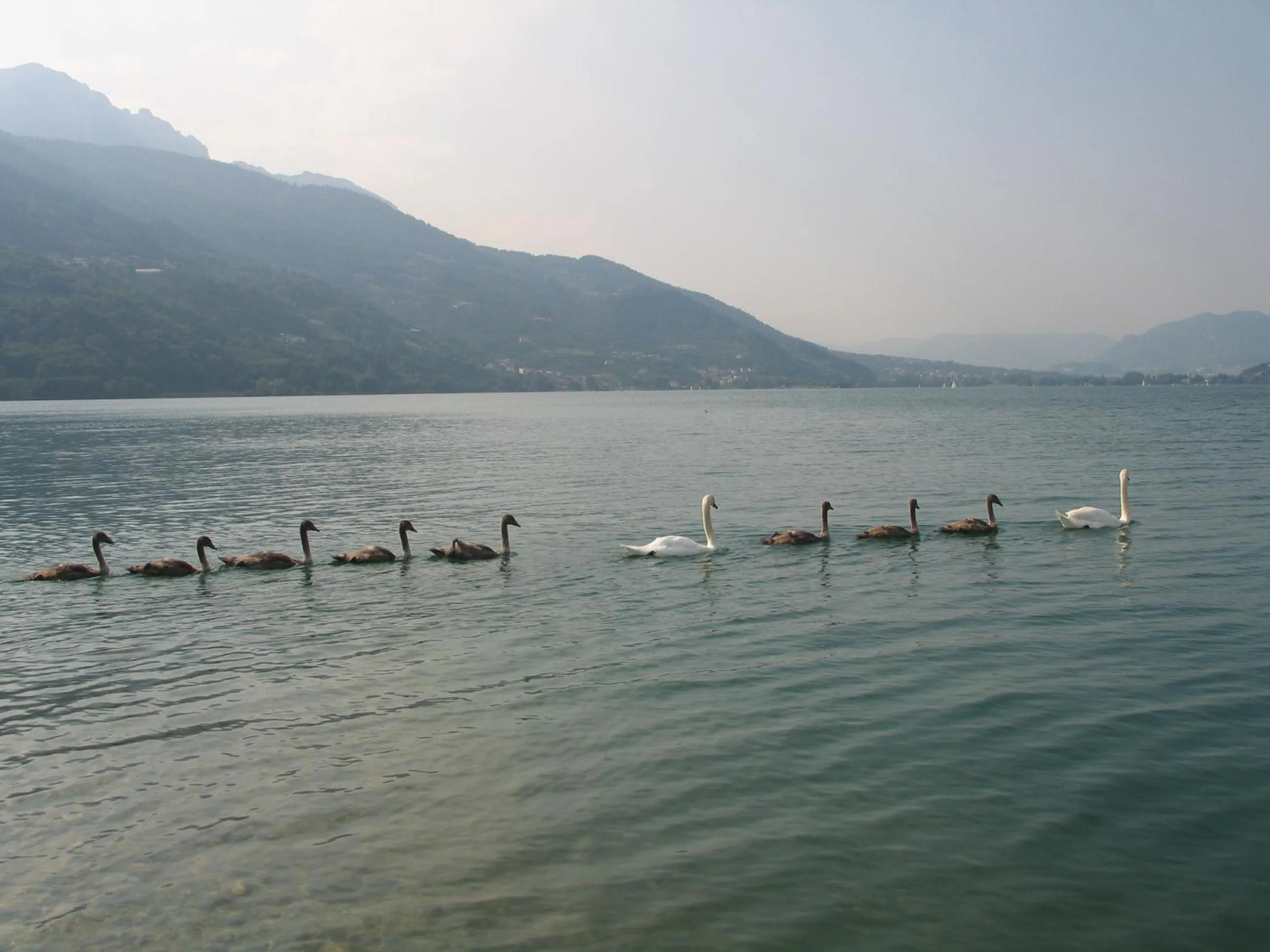 Beach in Hotel Dolomiti