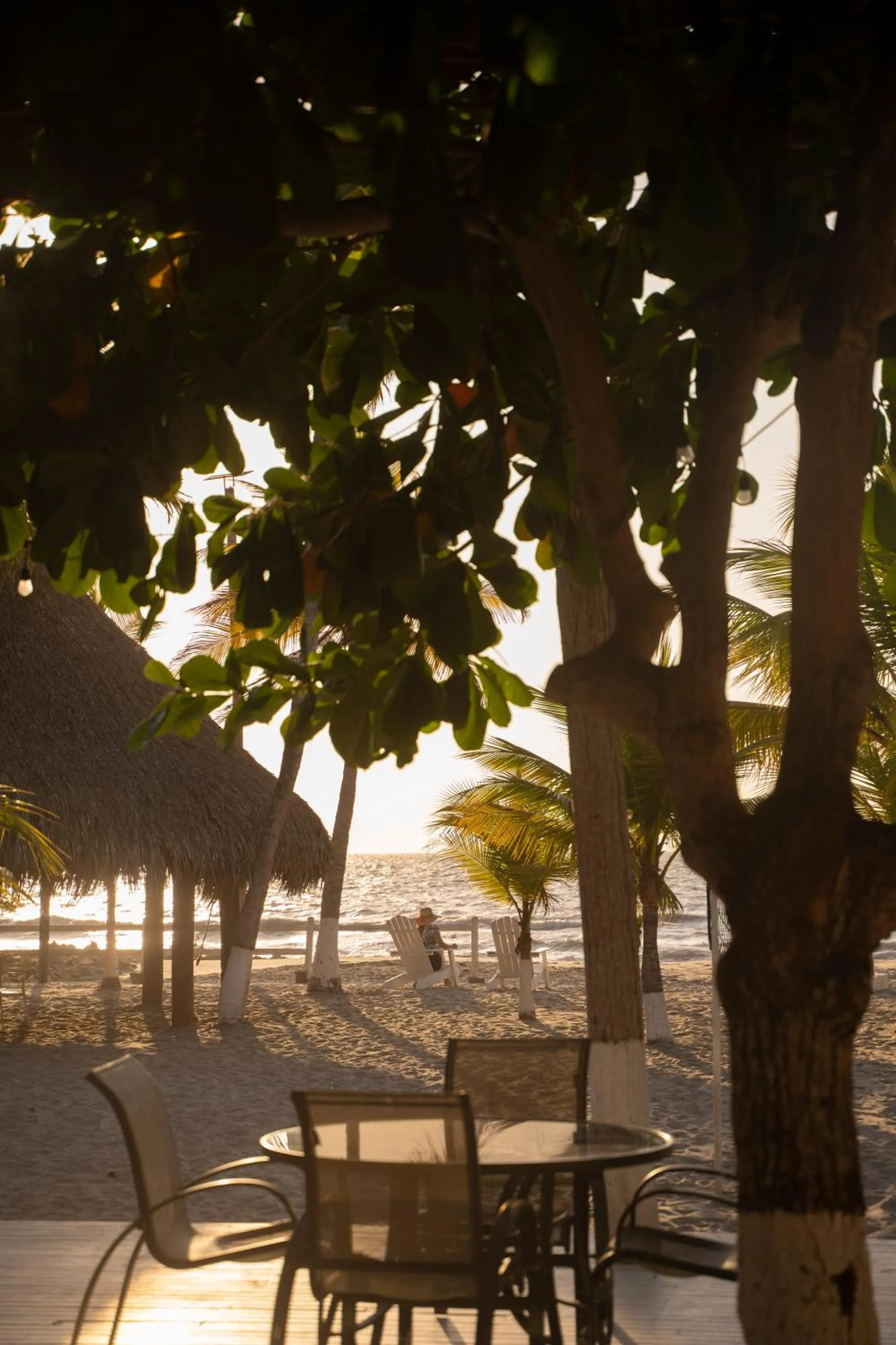 Beach in Quinta del Mar La Joya