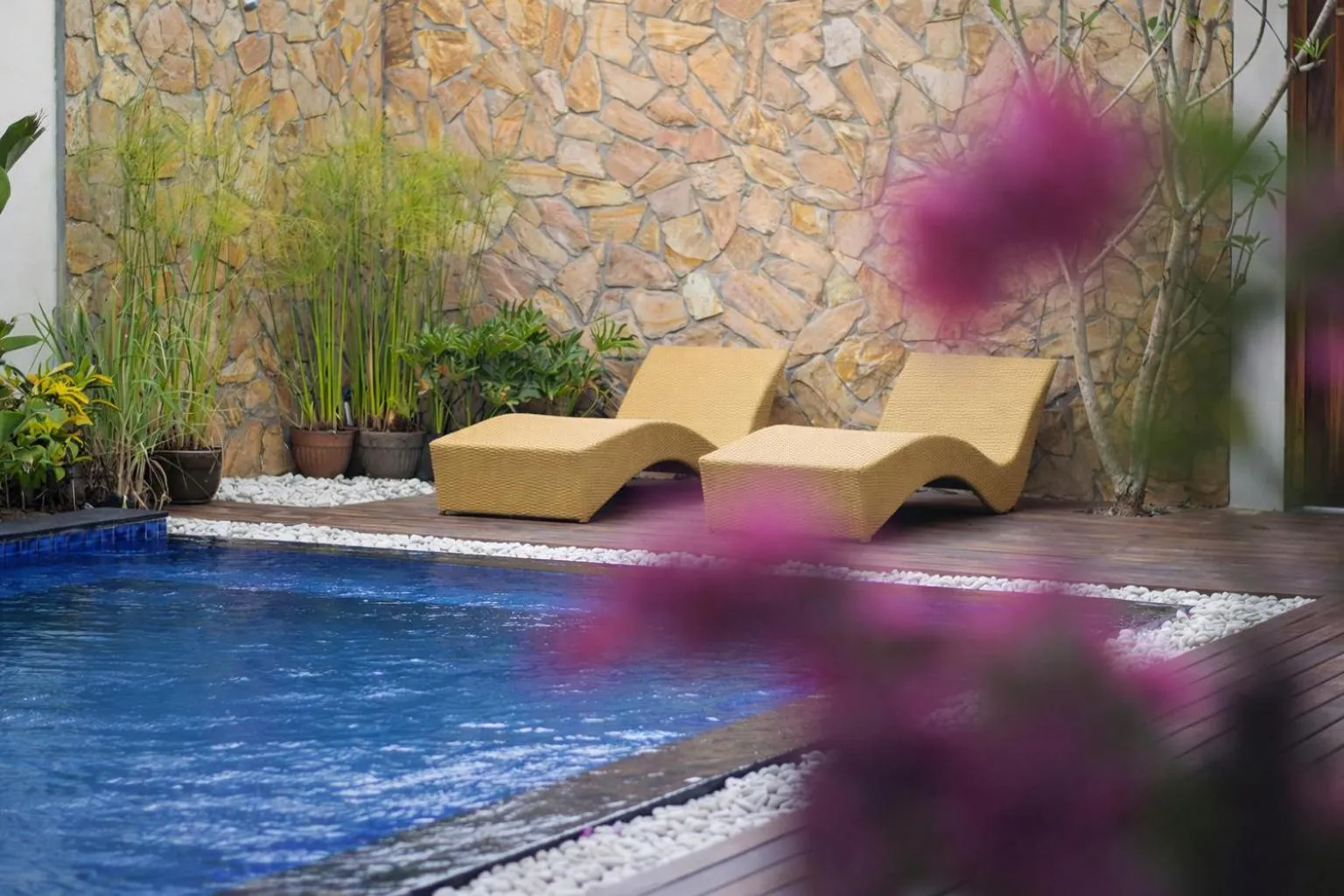 Garden in Lumiere Hotel Gili Trawangan