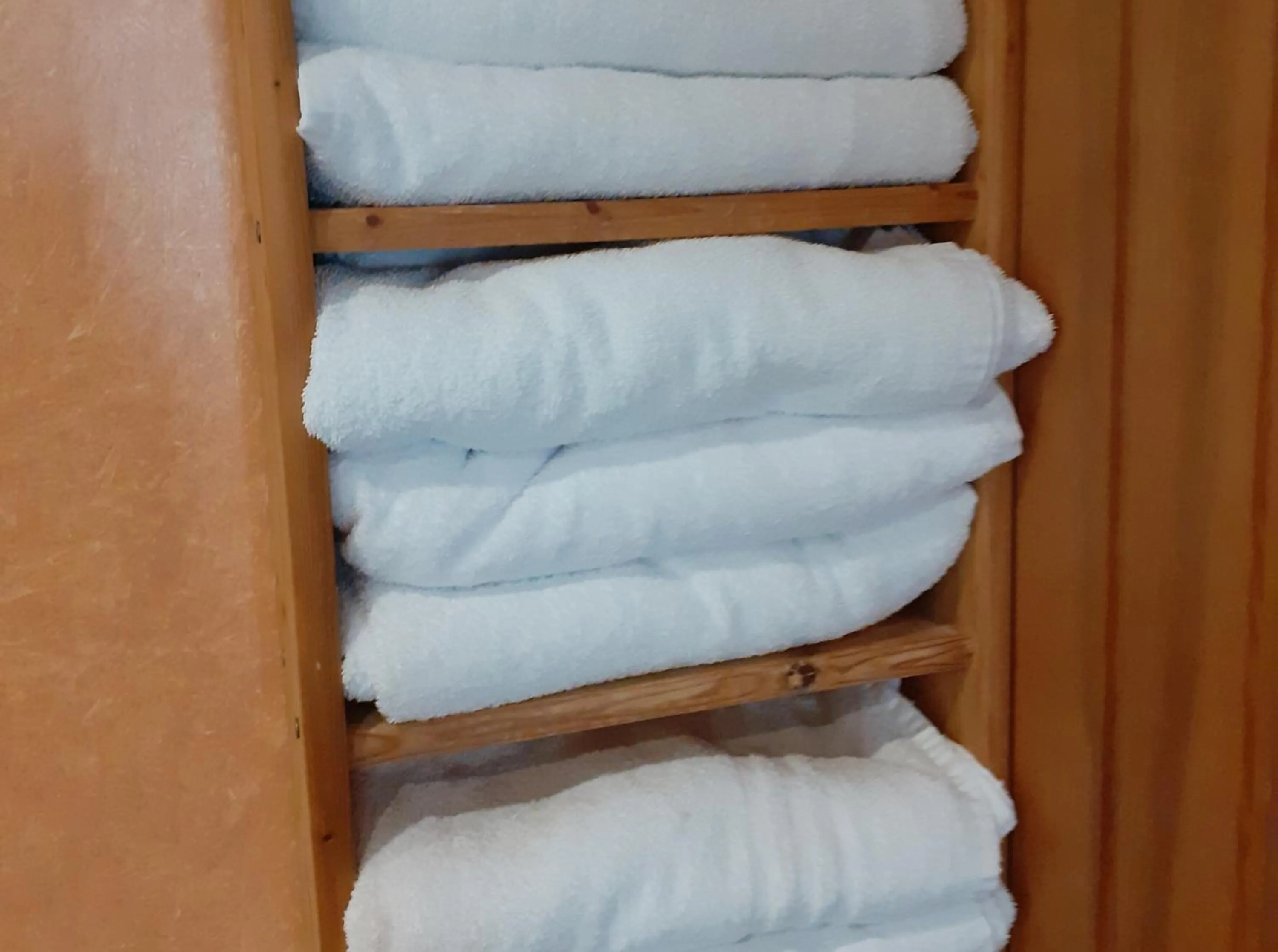 Sauna in Land-gut-Hotel Zum alten Forsthaus - Aufladestation für Elektroautos