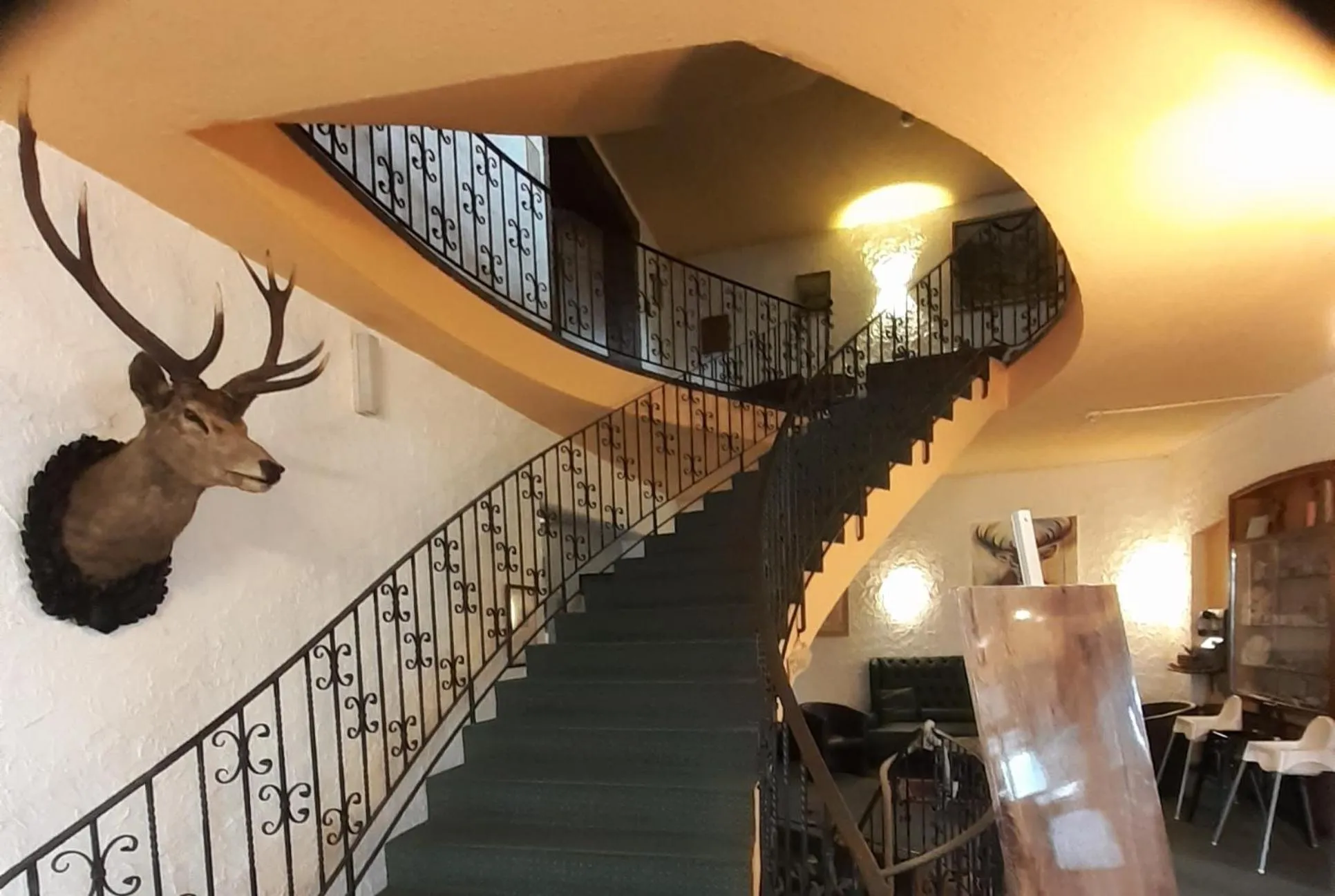 Lobby or reception in Land-gut-Hotel Zum alten Forsthaus - Aufladestation für Elektroautos