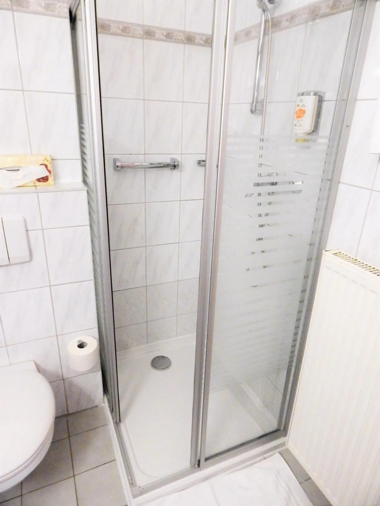 Shower in Land-gut-Hotel Zum alten Forsthaus - Aufladestation für Elektroautos