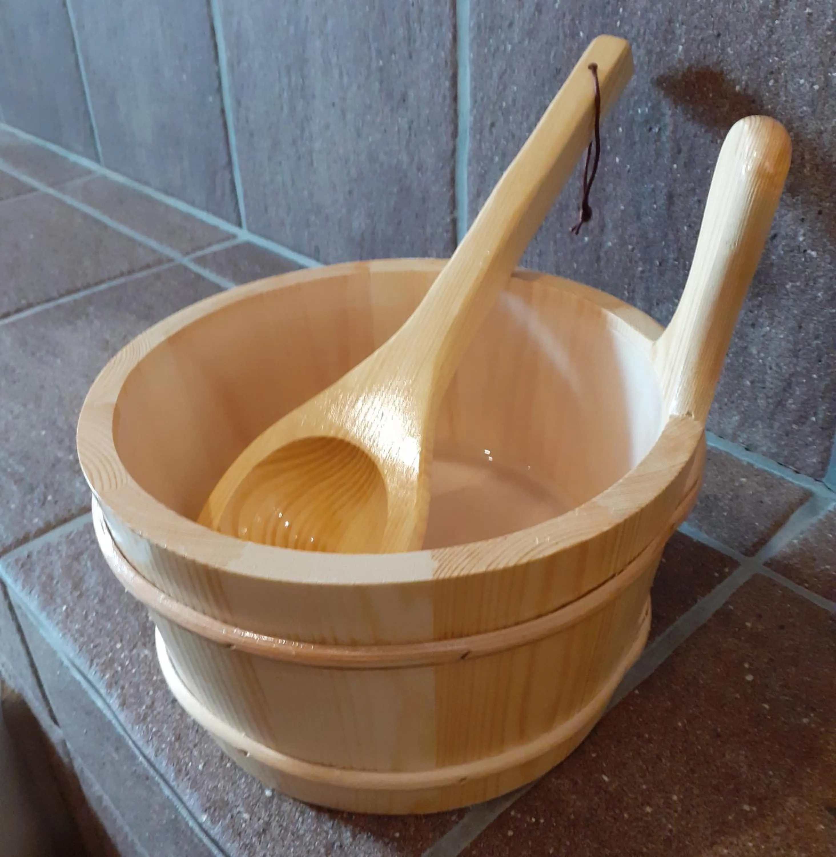 Sauna in Land-gut-Hotel Zum alten Forsthaus - Aufladestation für Elektroautos