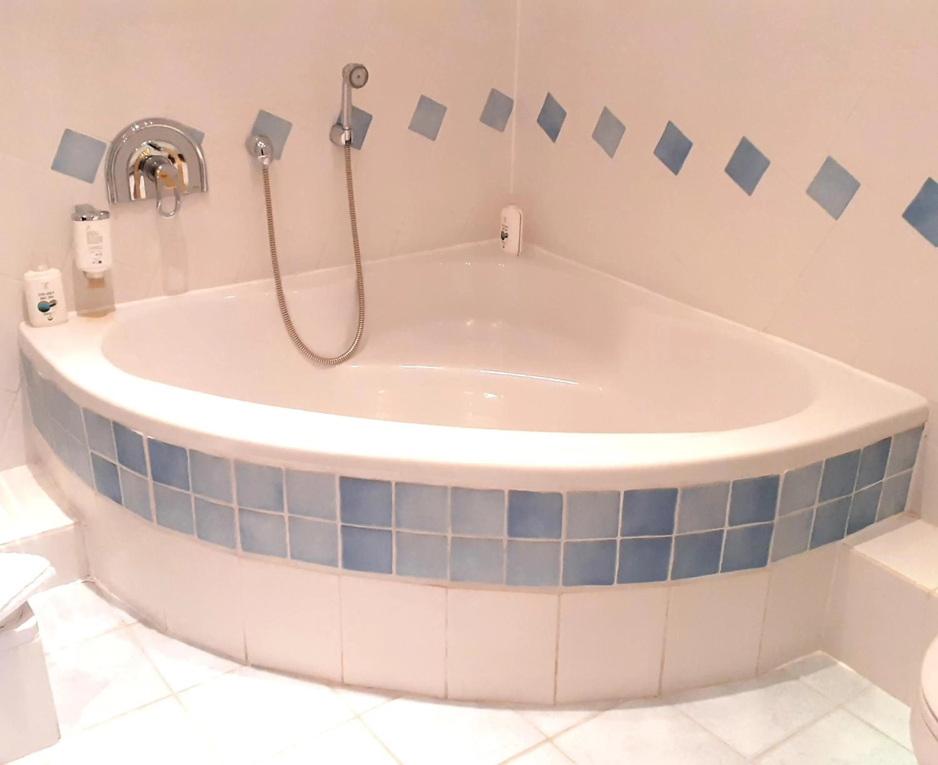 Bath in Land-gut-Hotel Zum alten Forsthaus - Aufladestation für Elektroautos