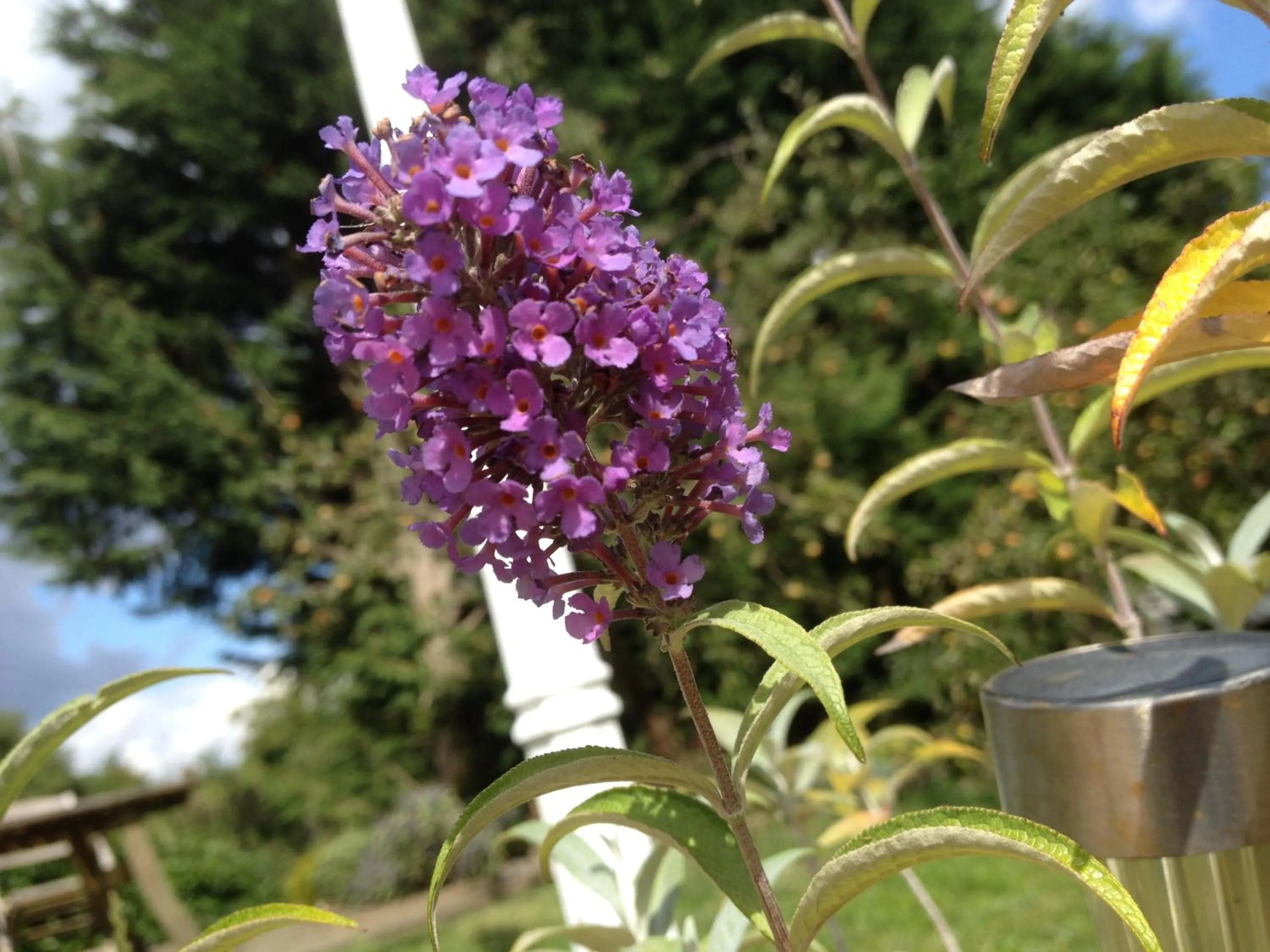 Other in The Stables B&B @ Pear Tree Cottage