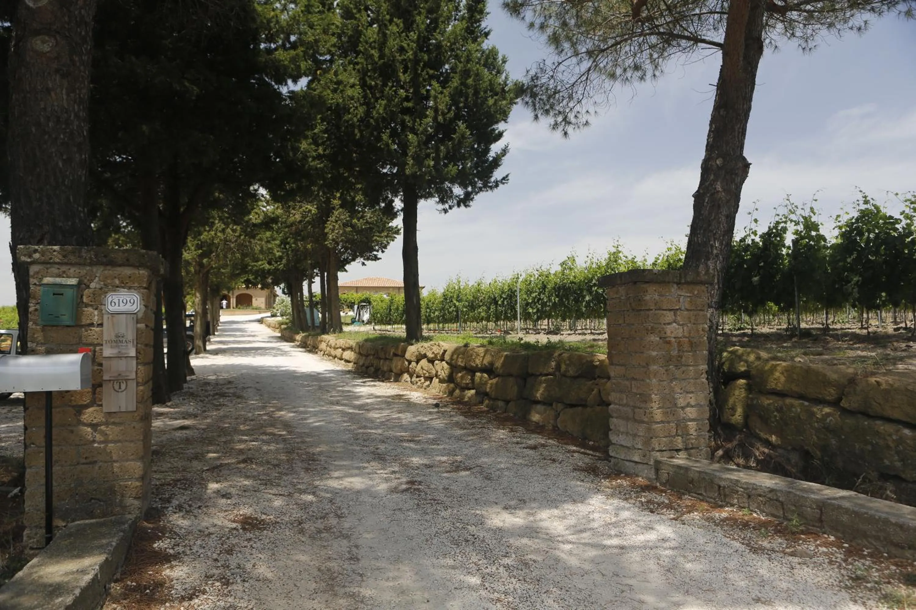 View (from property/room) in Agriturismo Poggio Al Tufo