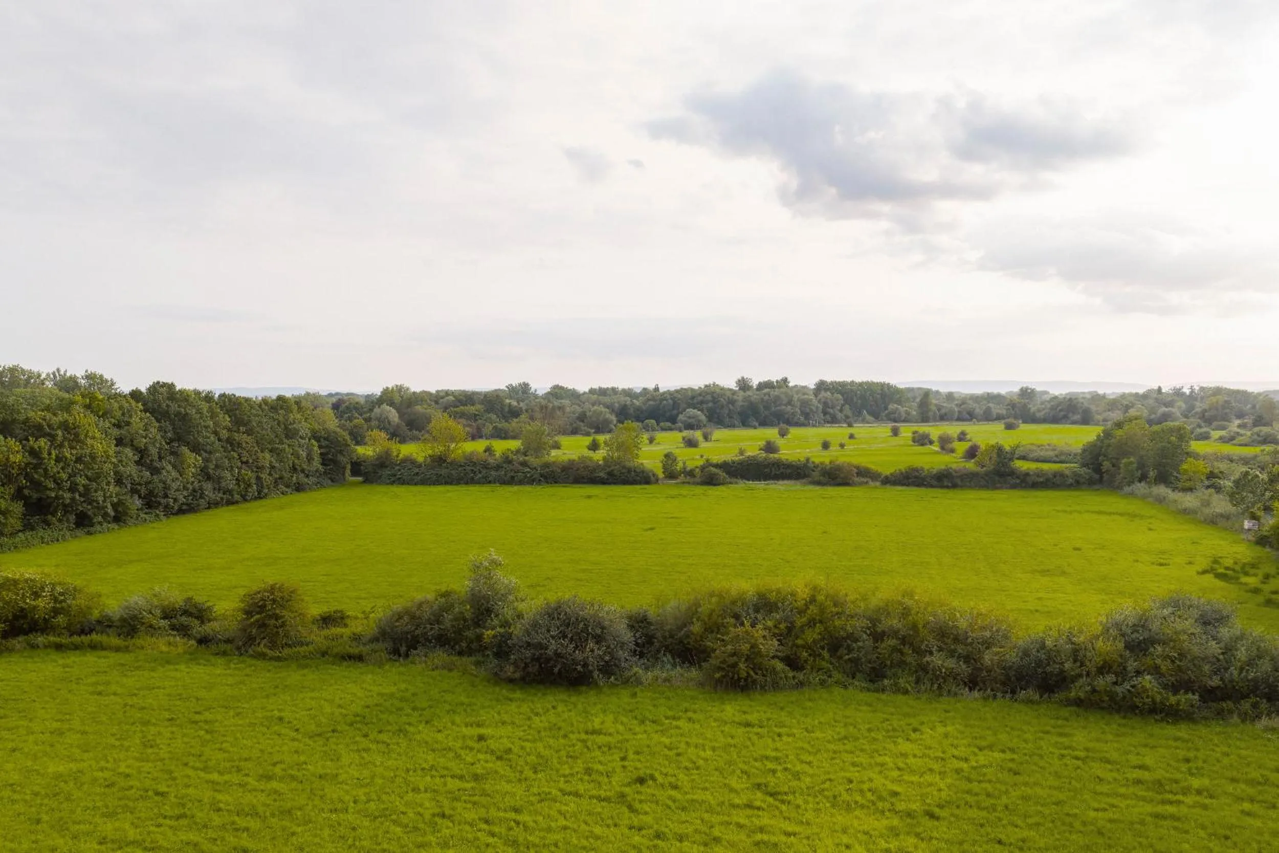 Natural landscape in Designhotel + CongressCentrum Wienecke XI.