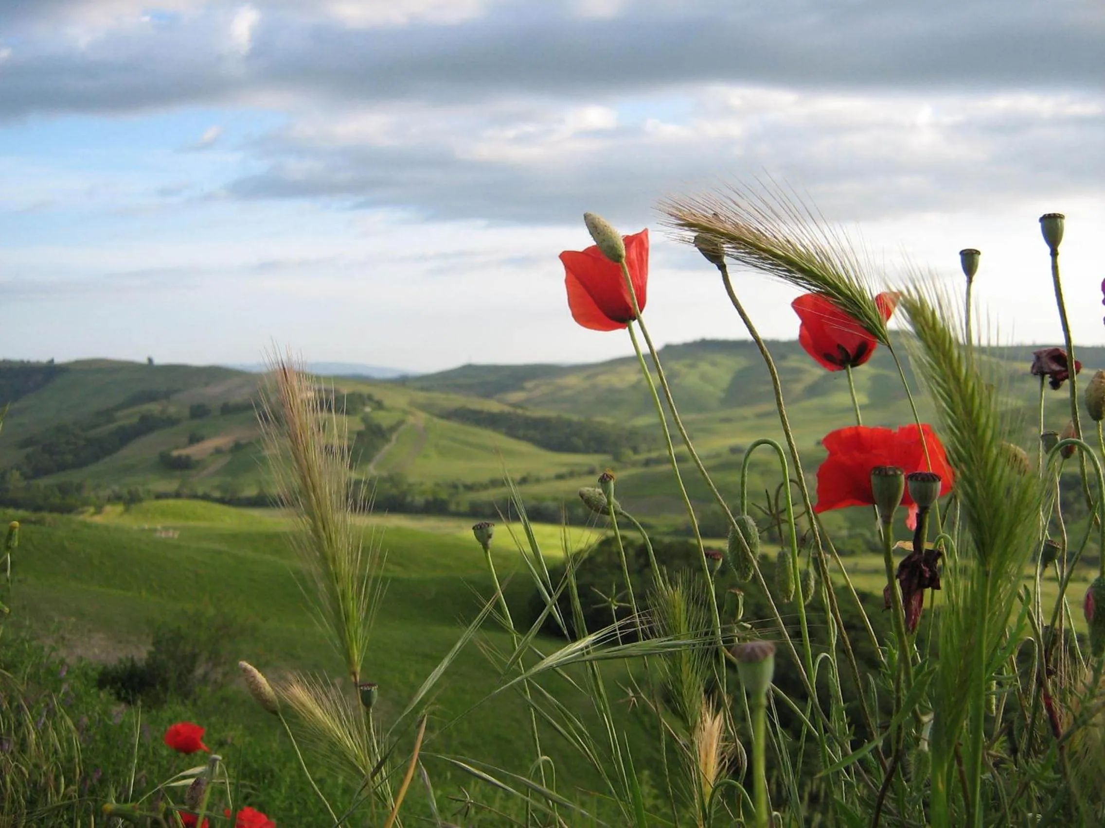 Certine Agriturismo