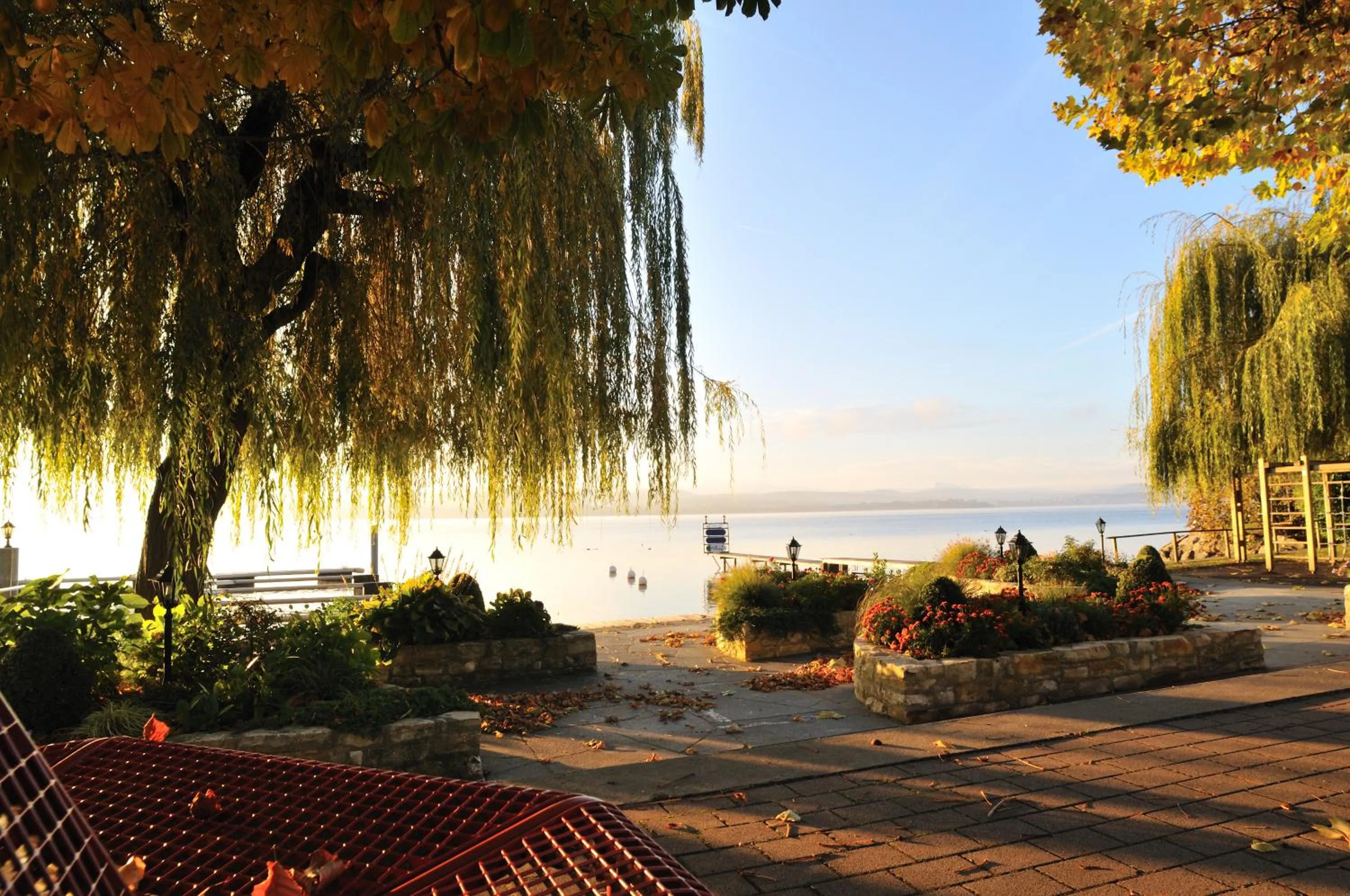 Garden in Hôtel Restaurant Cave Bel-Air