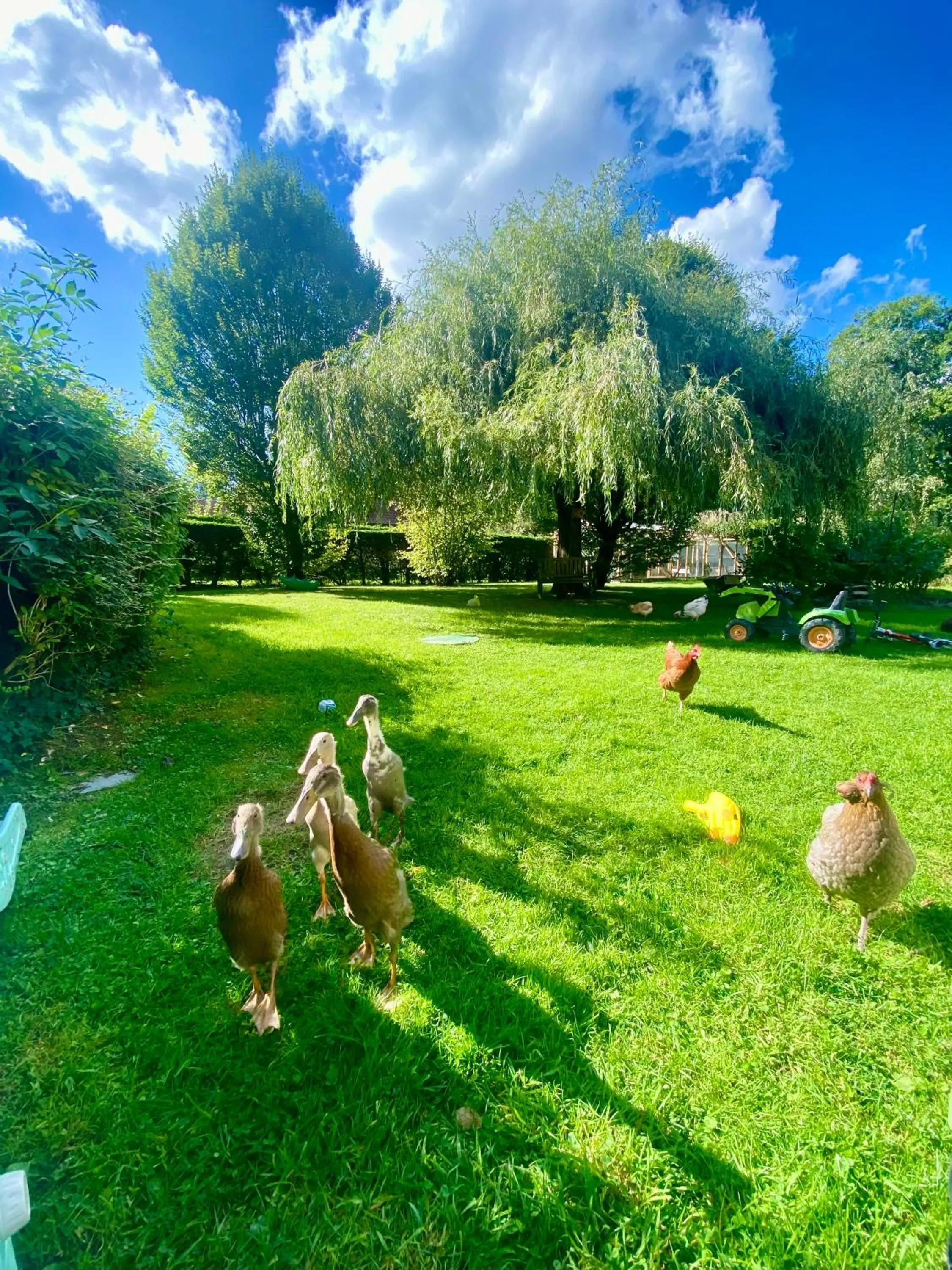 Le Clos de l’Ermitage