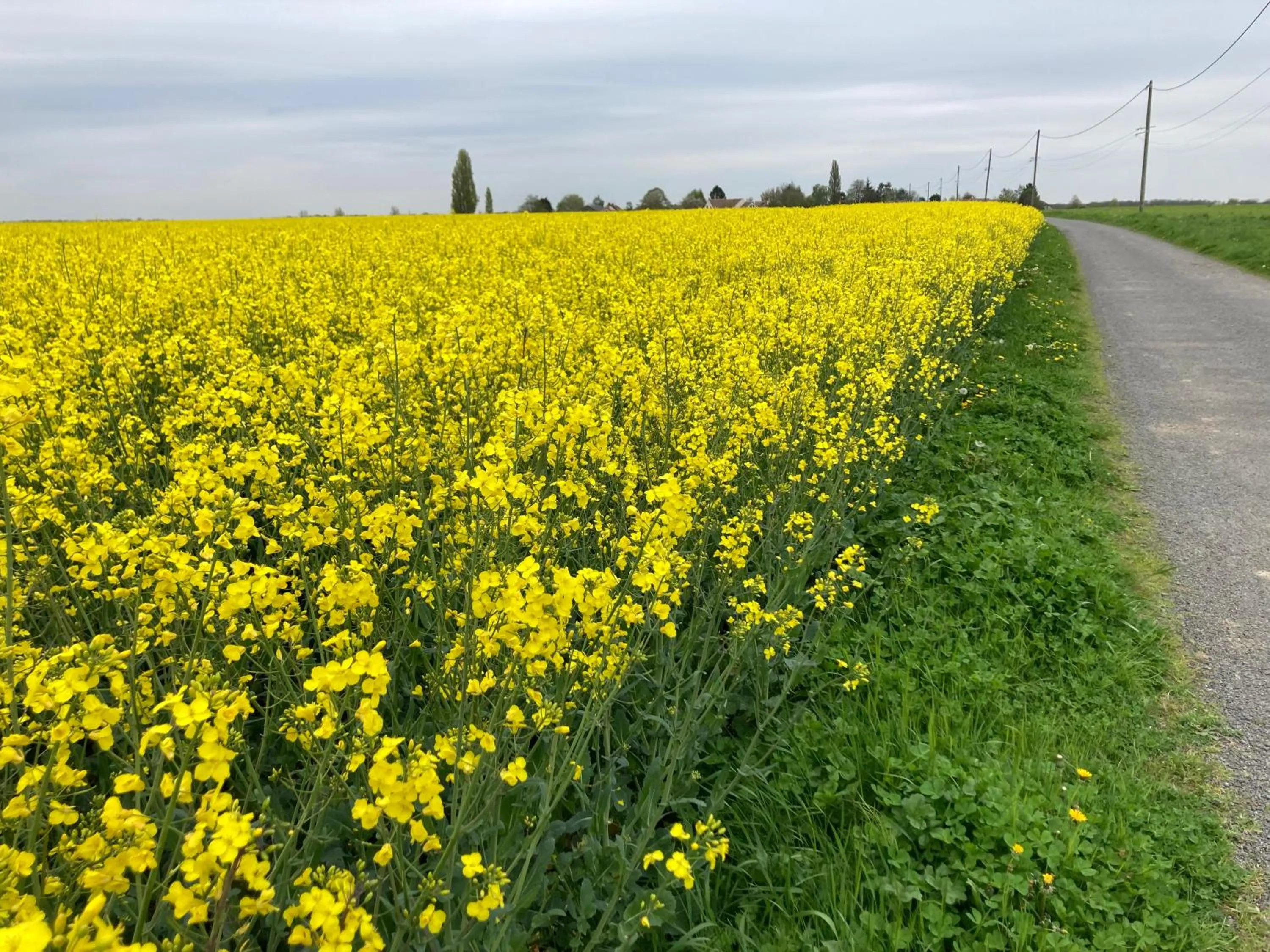 Natural landscape in Maison Chevreuse, chambre chez l'habitant