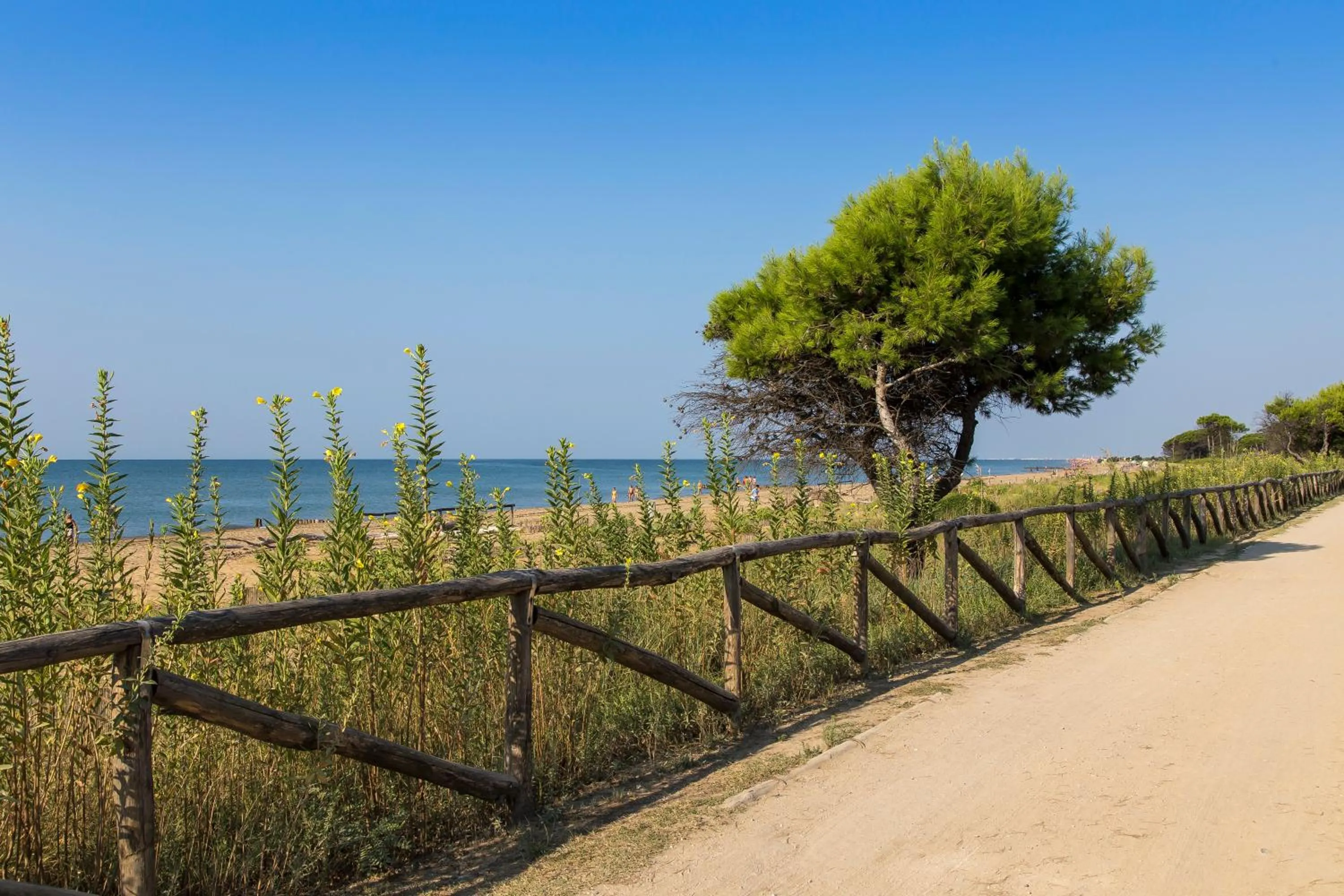 Natural landscape in Campiello