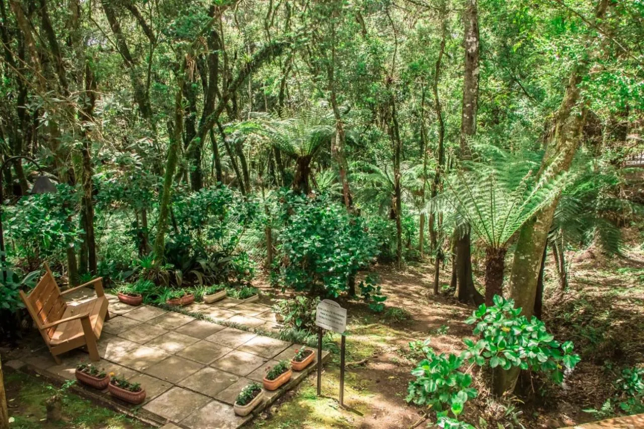 Hotel Cozumel Sierra