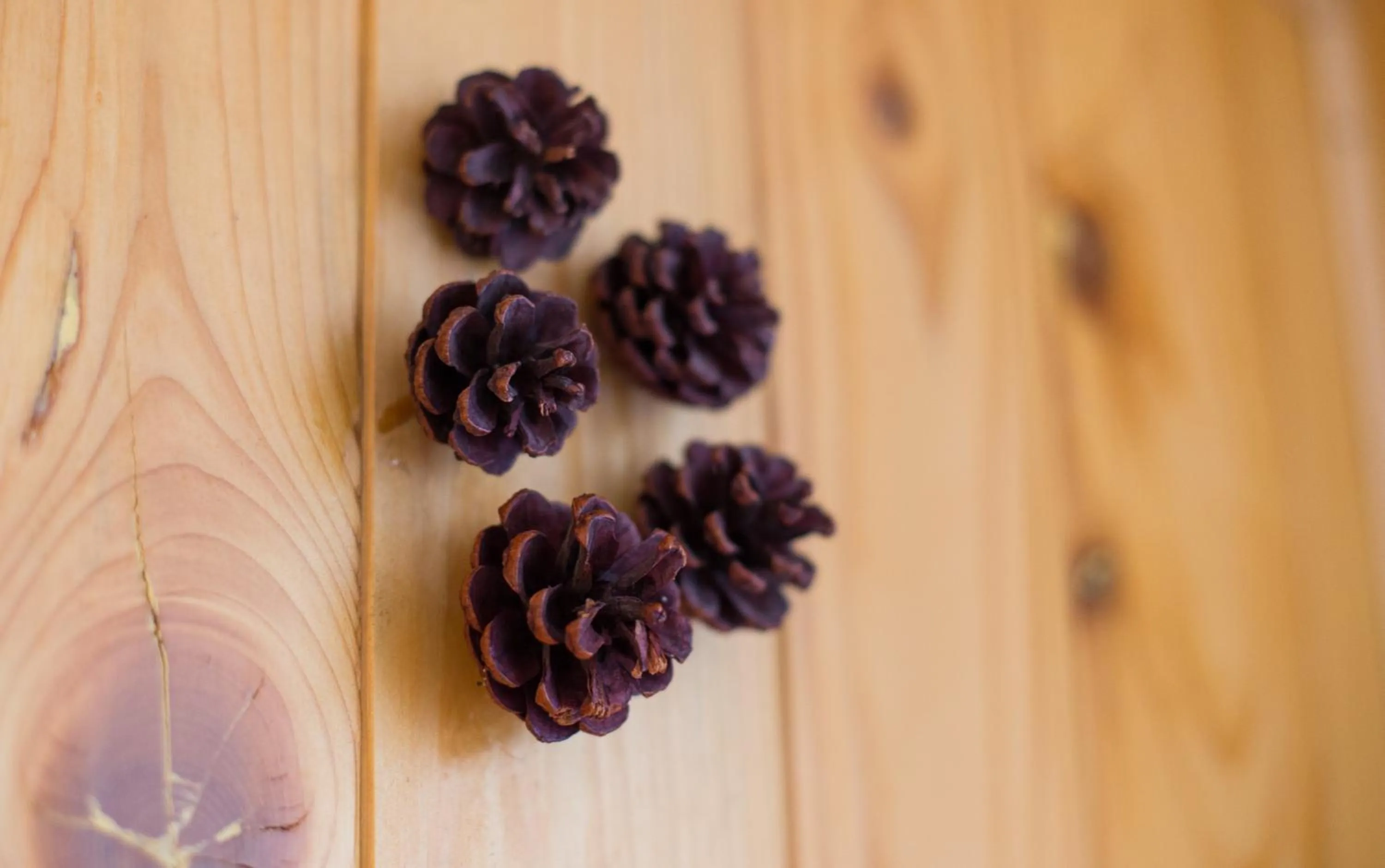Decorative detail in Casa Mosului - Transfăgărășan Bed & Breakfast