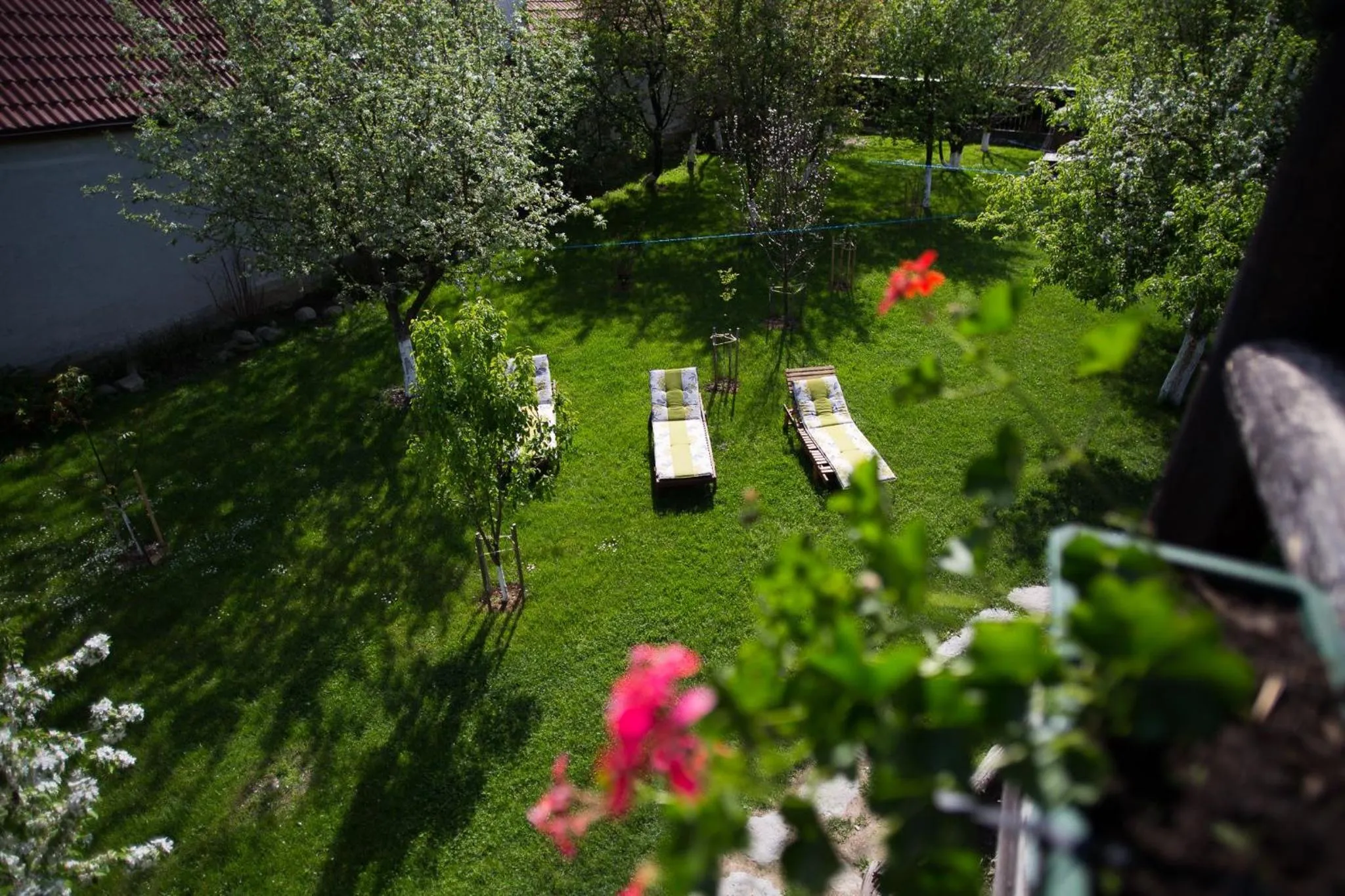 Spring in Casa Mosului - Transfăgărășan Bed & Breakfast